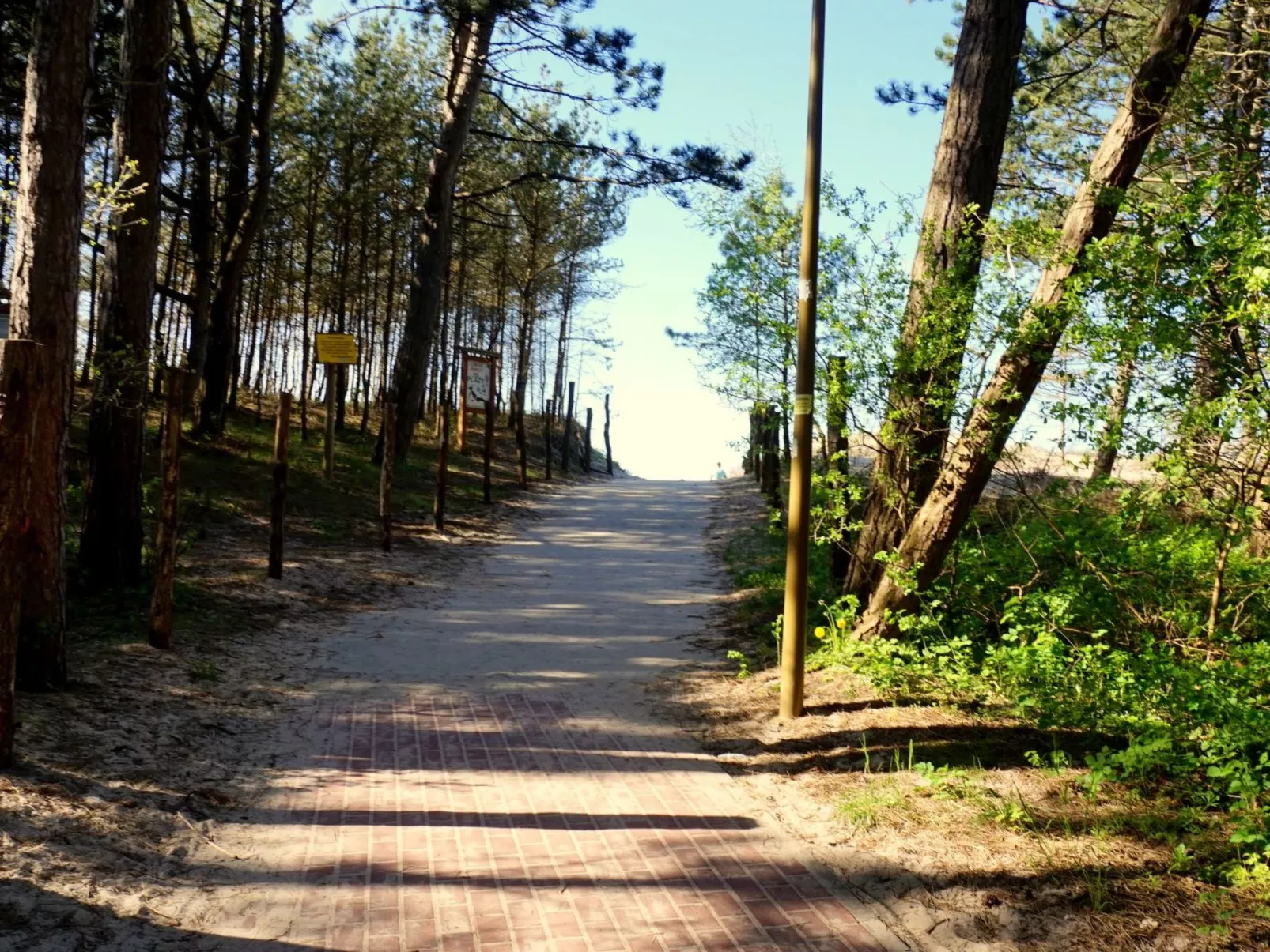 "Paradise Star Bobolin"-Image-tags.info