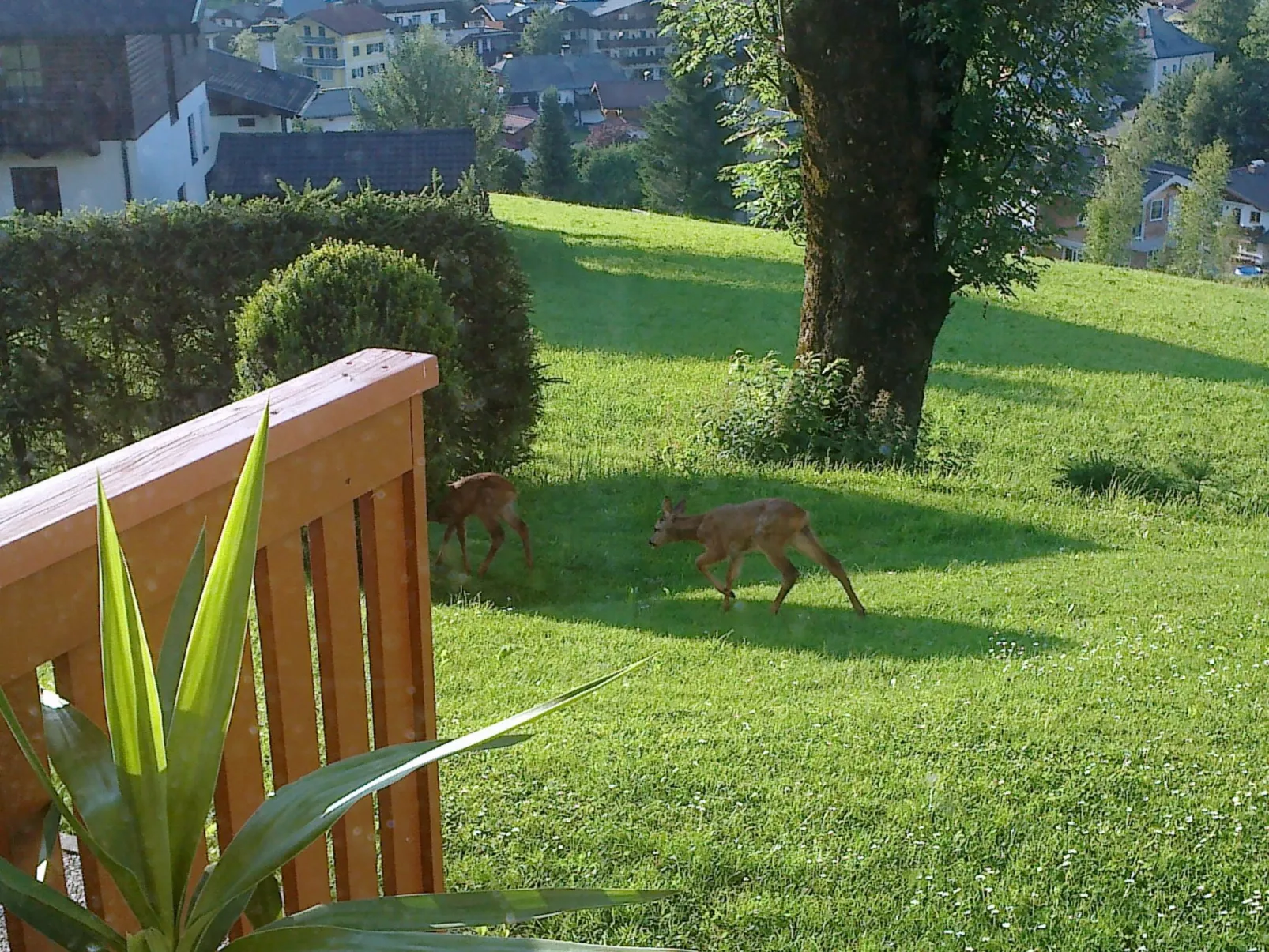 Apartment Bergblick-Draußen