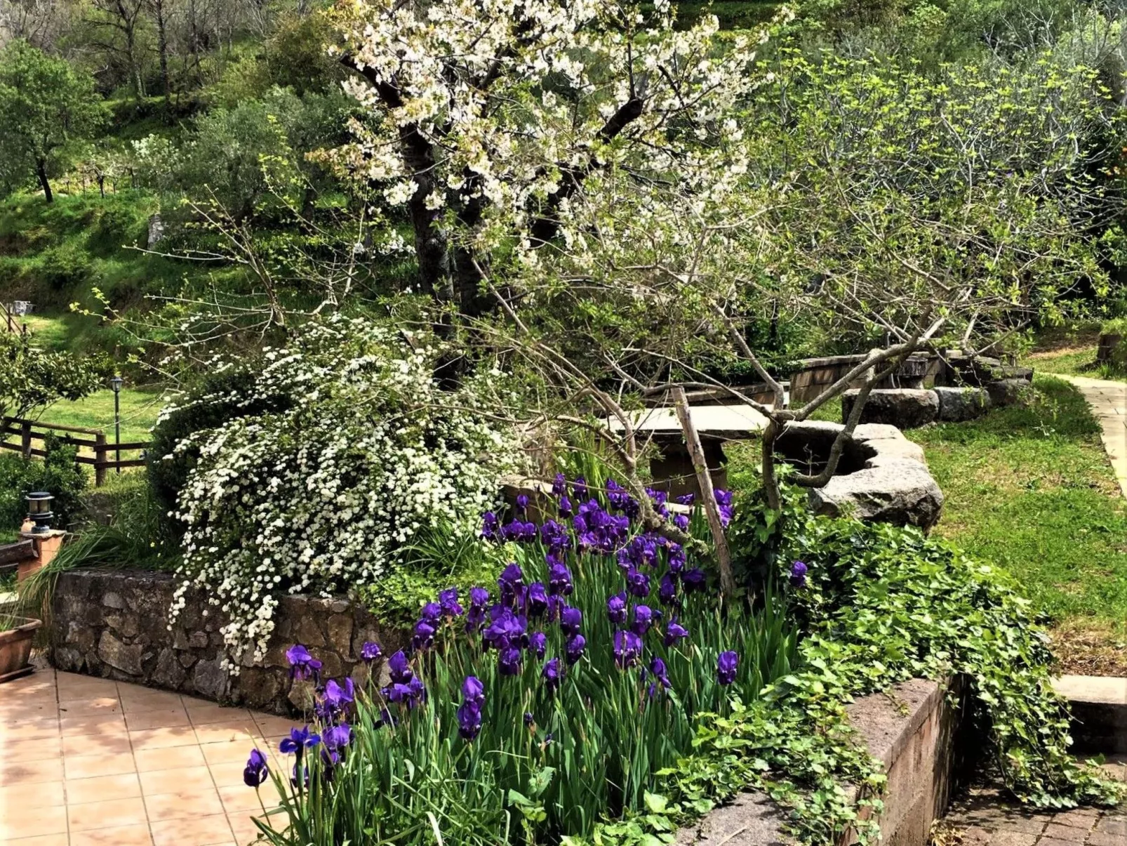 Granatapfel-Wohnung-Draußen