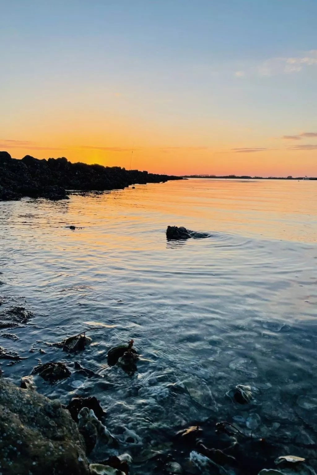 Reefhouse 47, wo es noch Platz für Ruhe gibt-Outside