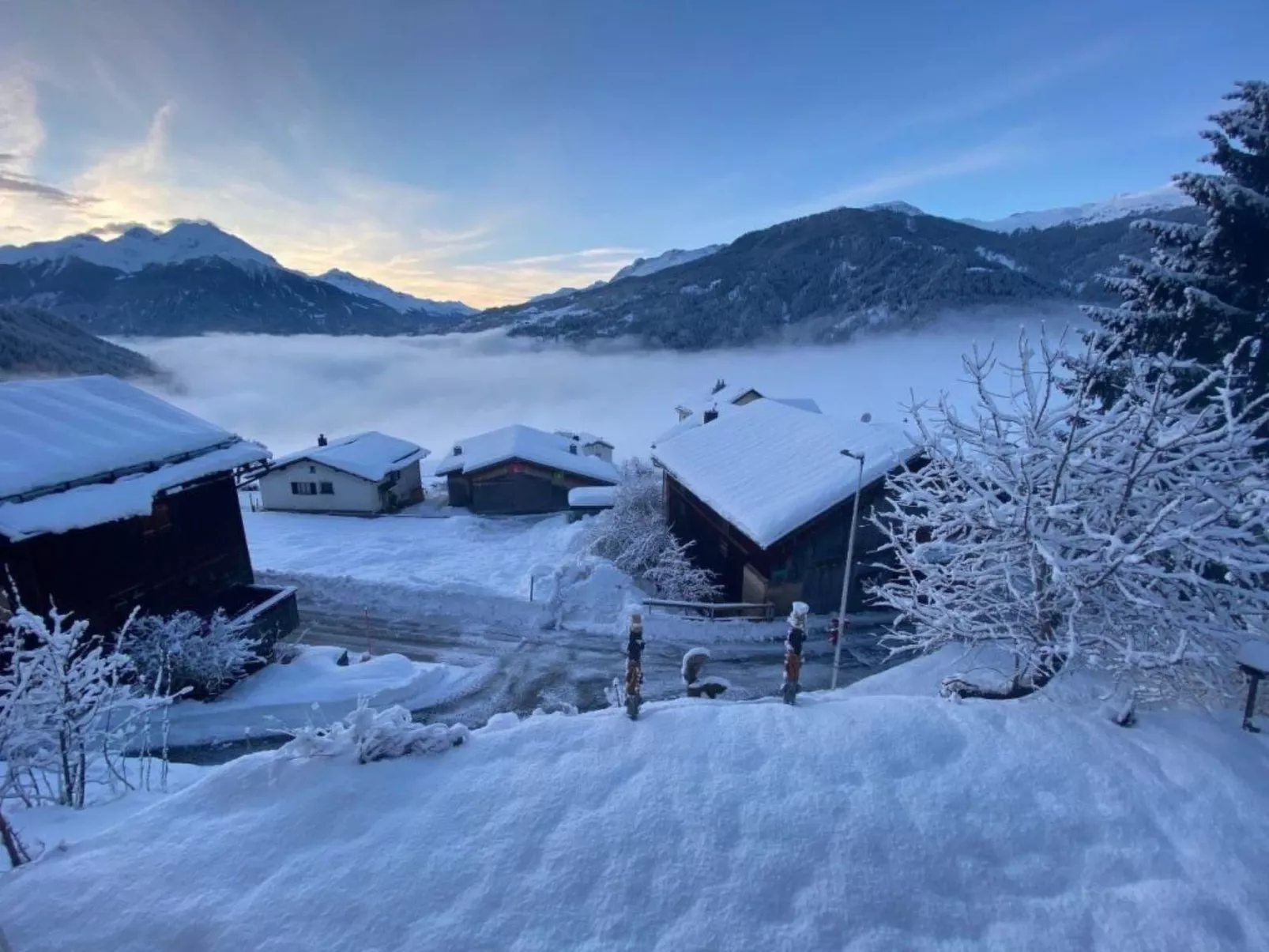 Sin Sponda-Image-tags.info