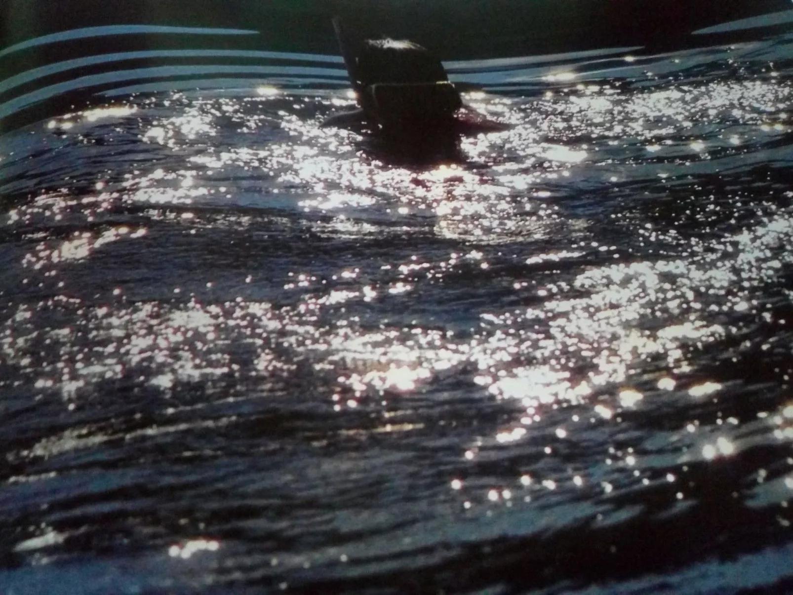 Apartment TOP 3-Draußen