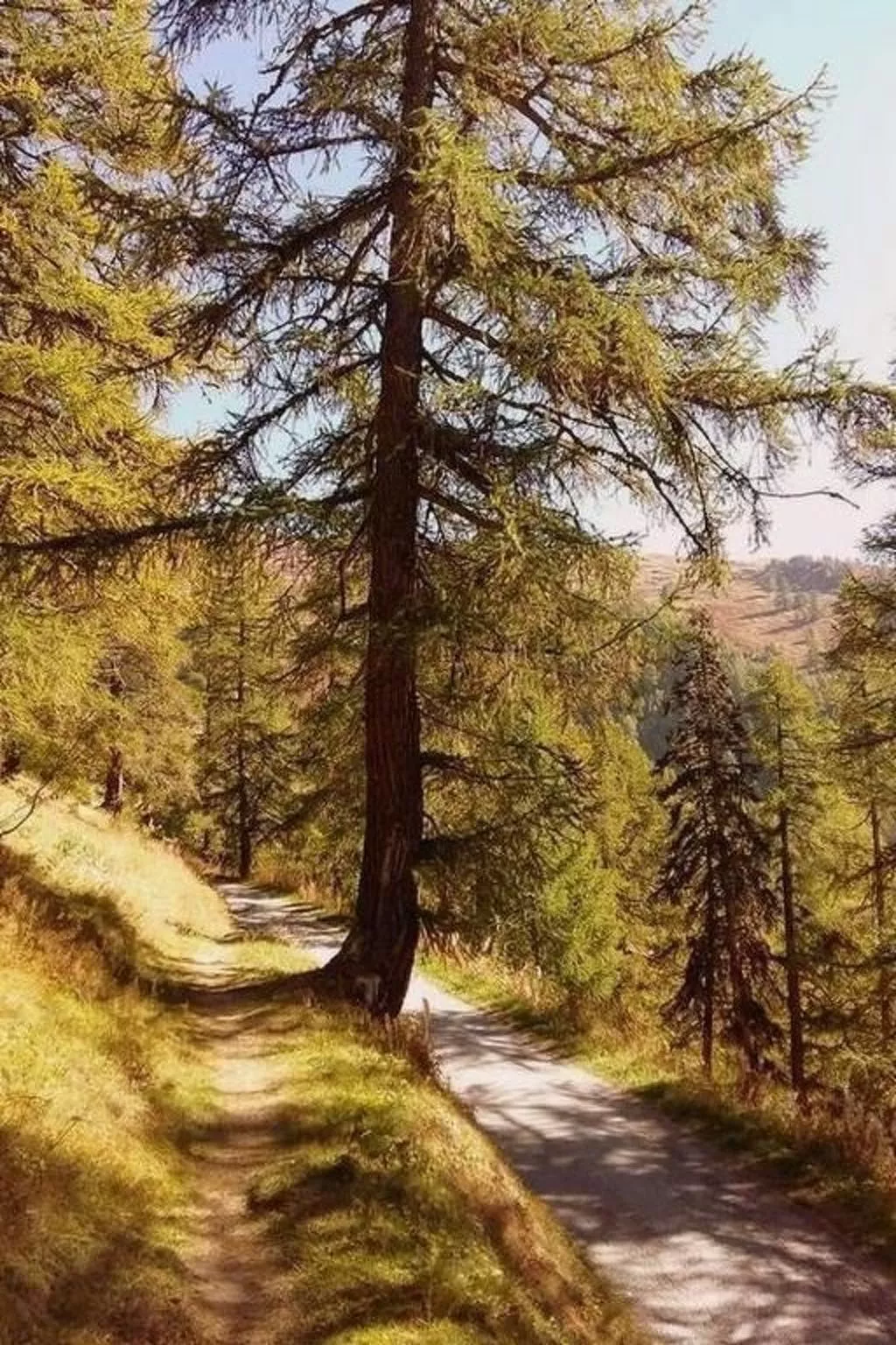 Chalet Angelika-Dehors