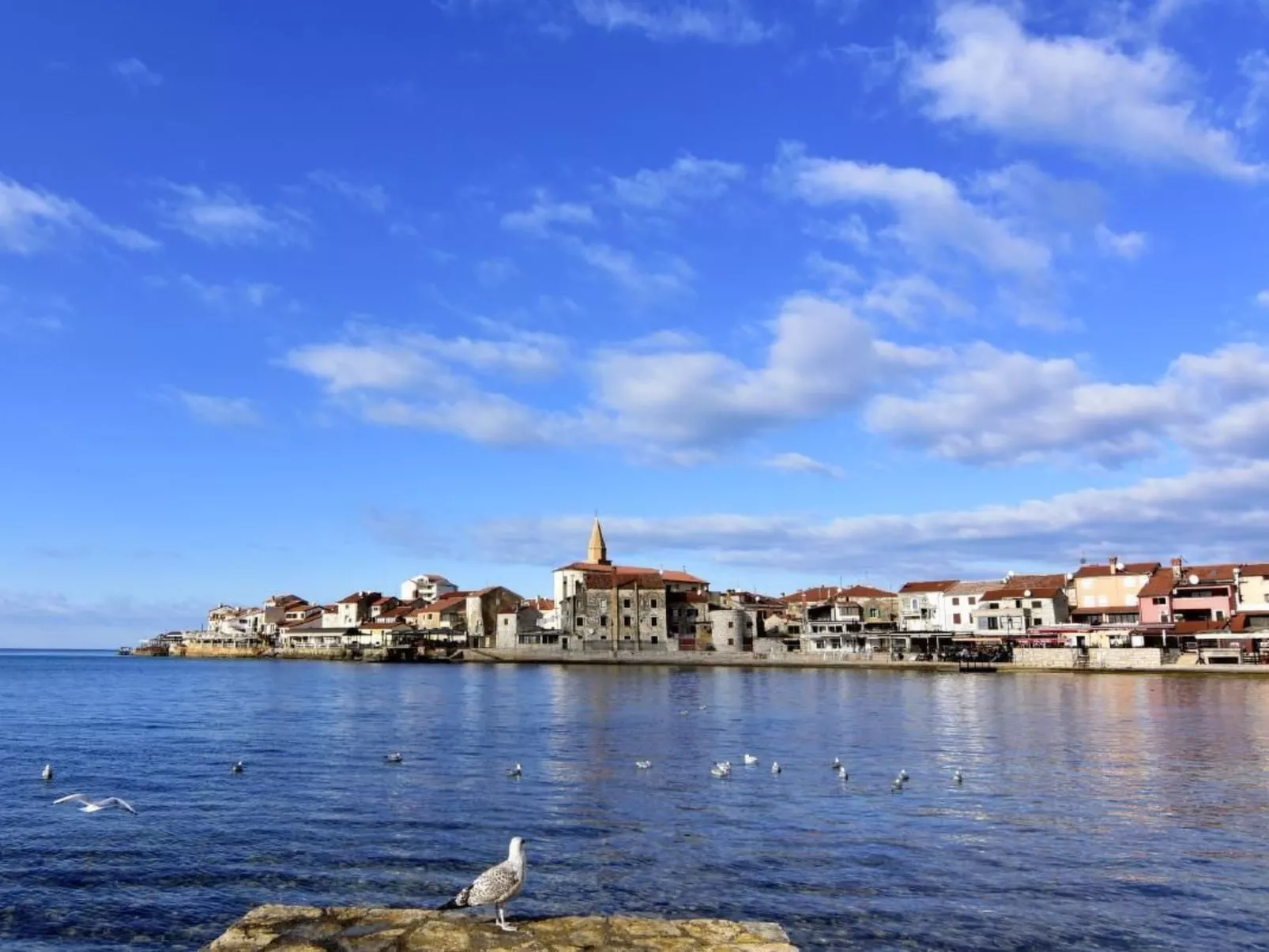 Große Wohnung in Umag mit Terrasse und Grill-Draußen