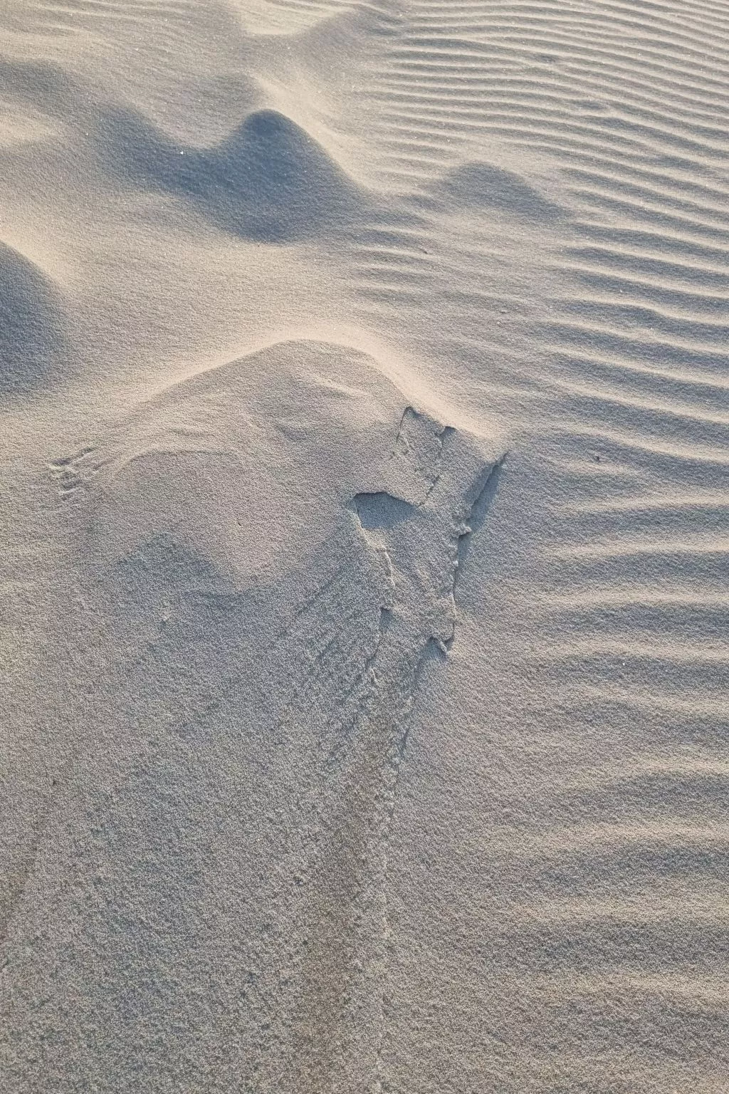 Lublewo21 Ferienhäuser - Drinnen