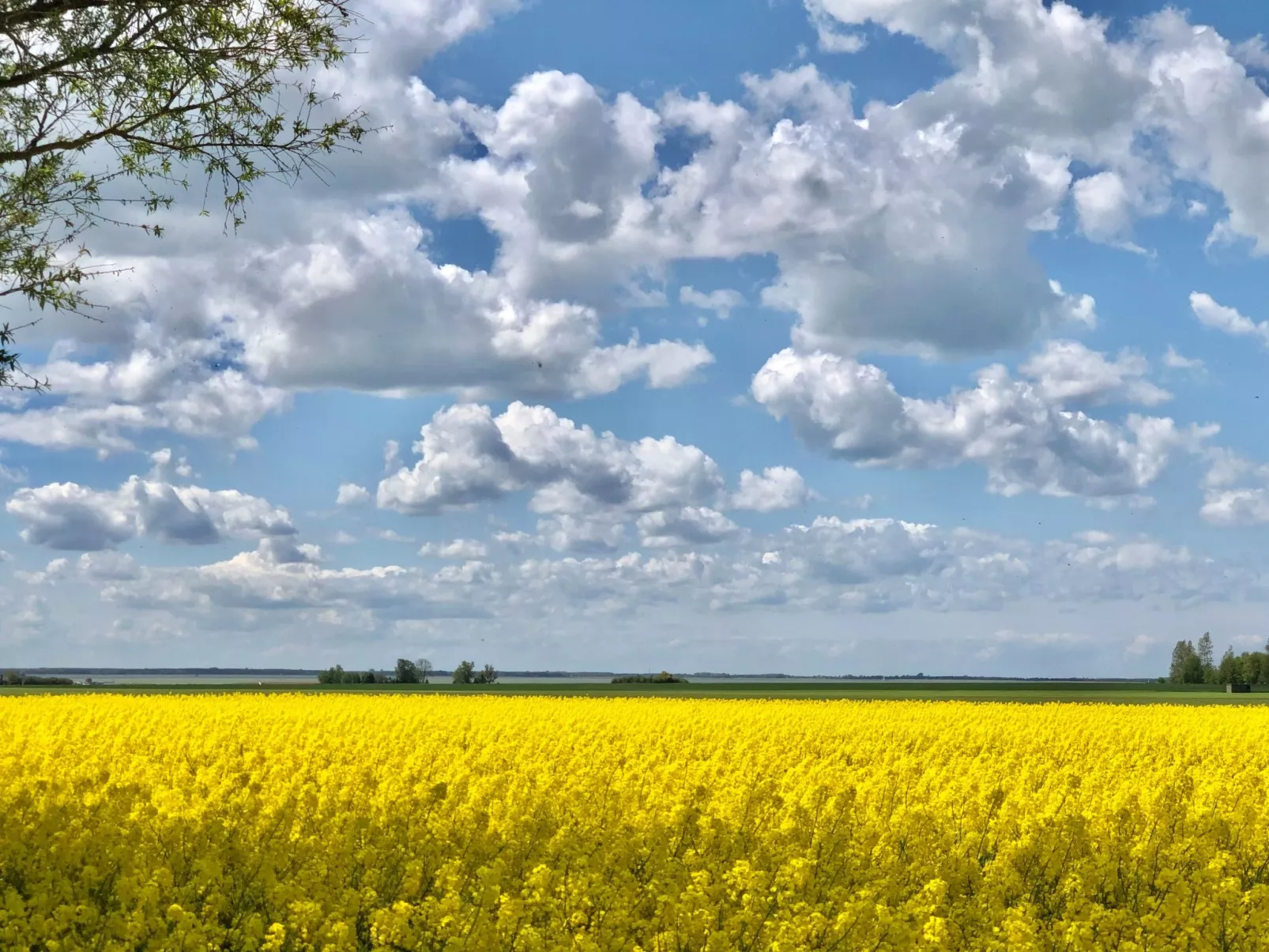 "Saaler Bodden"-Draußen