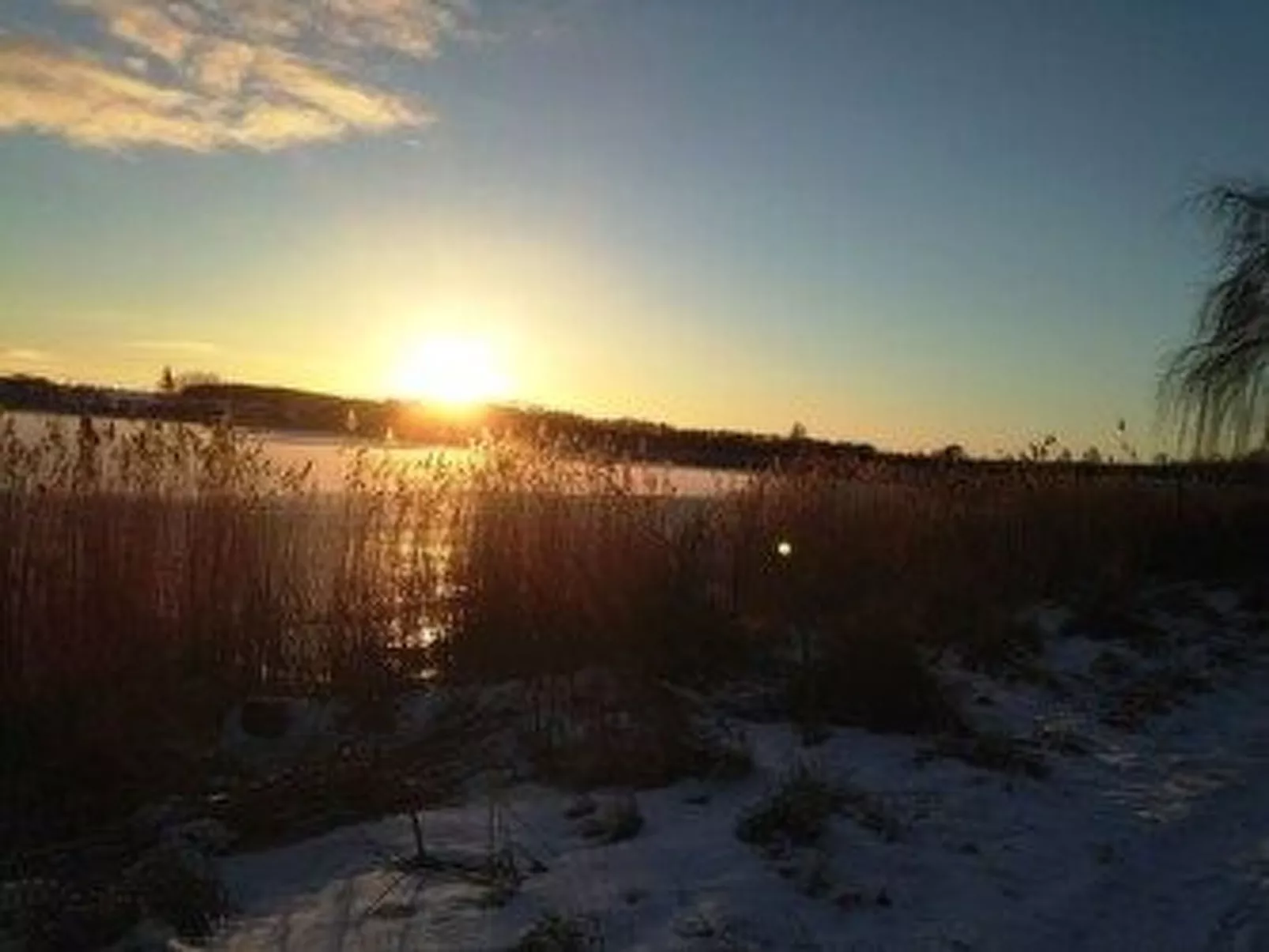 Mit Balkon in Sellin-Dehors