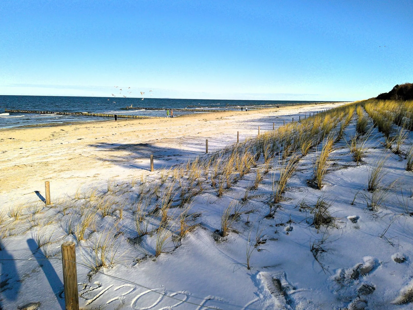 Kleine Ferienwohnung mit Garten und Terrasse-Draußen