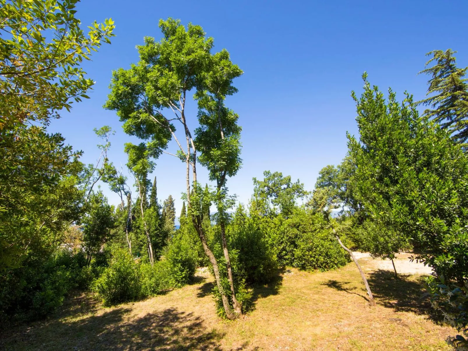 Tiny house Laurel - 70 Meter vom Strand entfernt-Outside