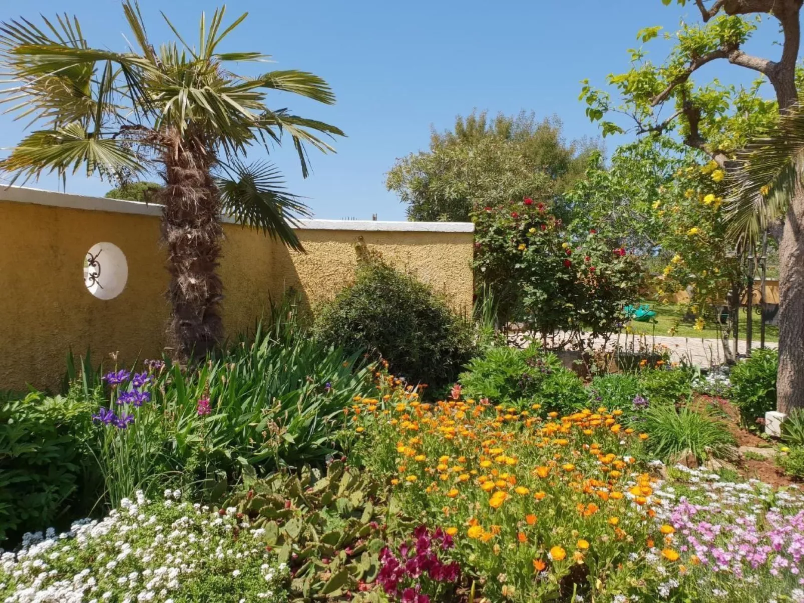 Luxus-App Marin - Terrasse, Garten, Grillplatz, Strandnähe-Image-tags.info