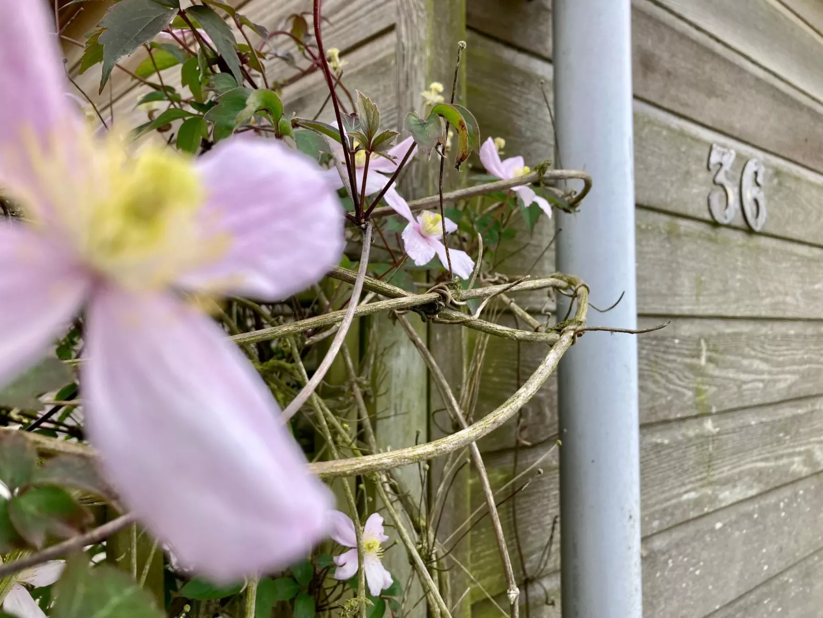 Chalet Ufergrundstück mit eigenem Angelplatz-Outside