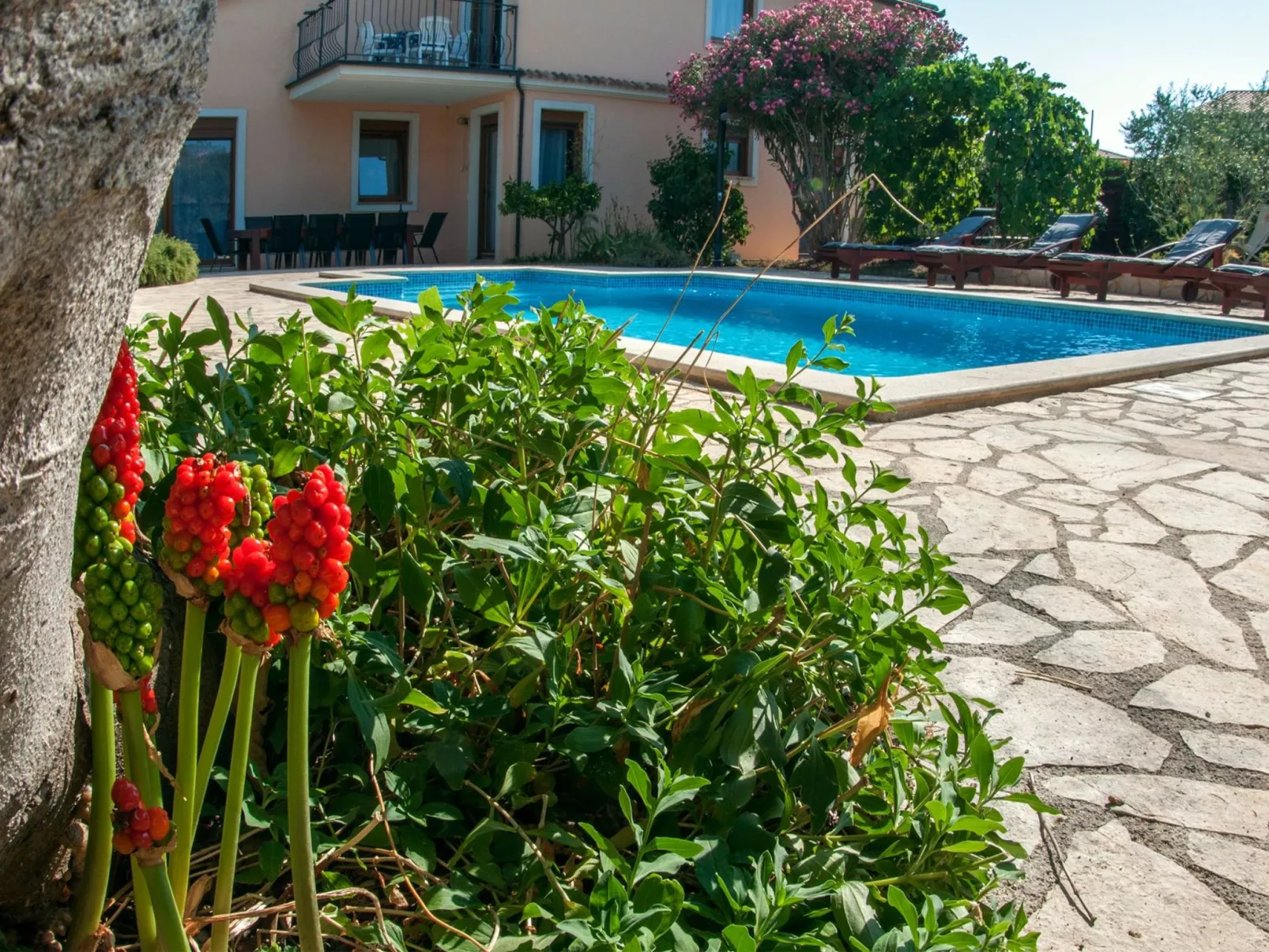 Erdgeschosswohnung für 7 Personen-Draußen