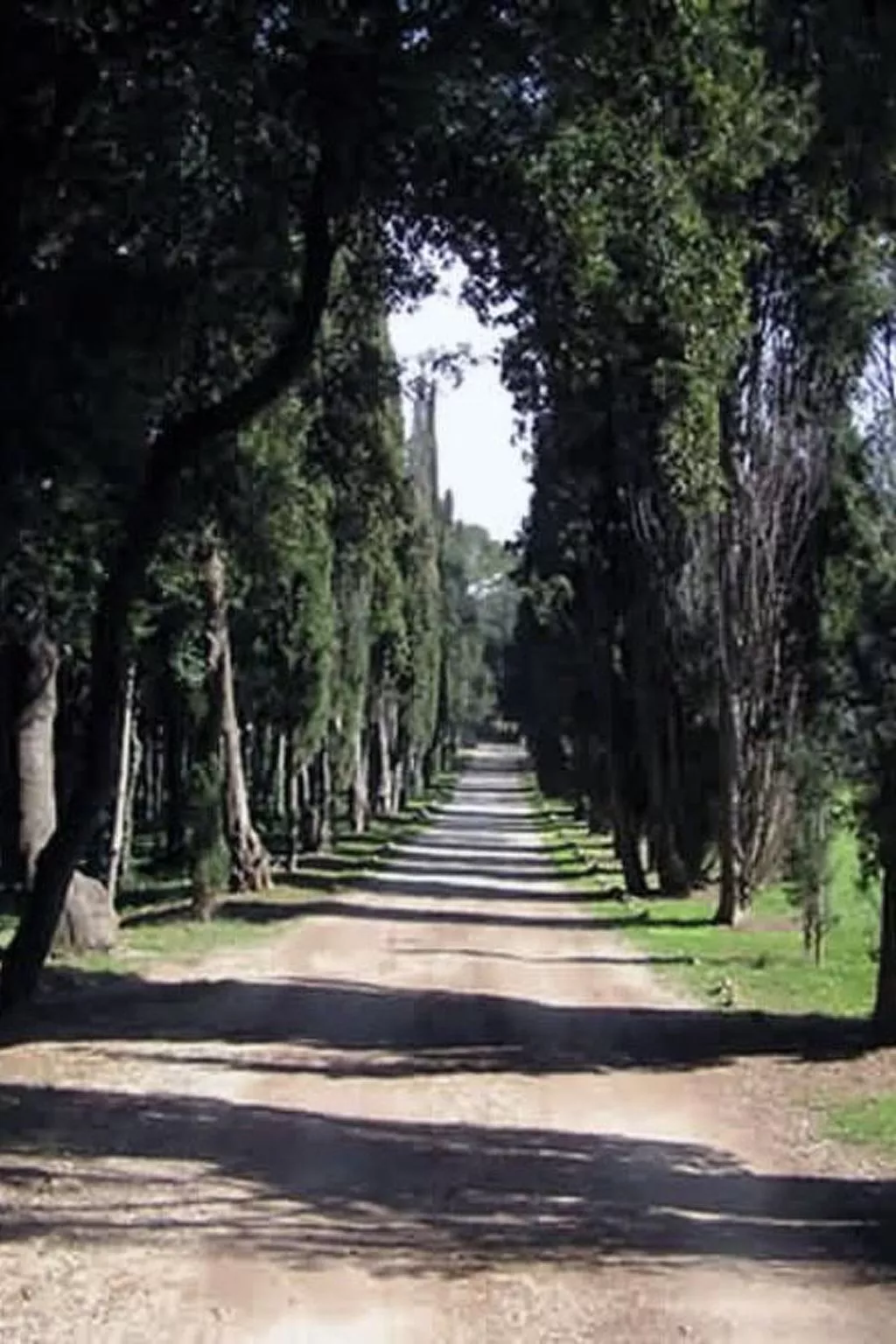 "Gemütlicher Garten" mit Terrasse-Draußen