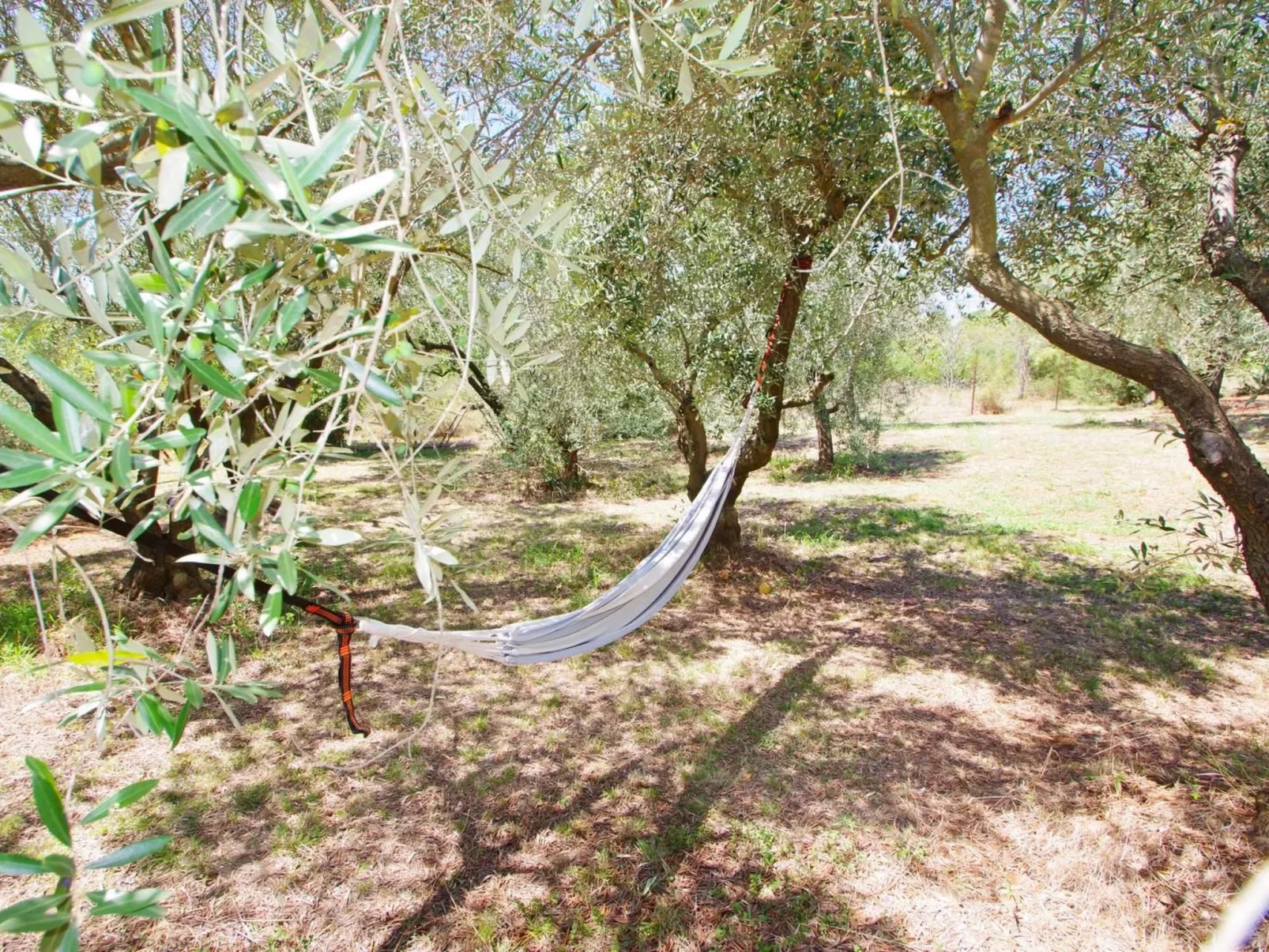 Am Meer "Zara"-Dehors