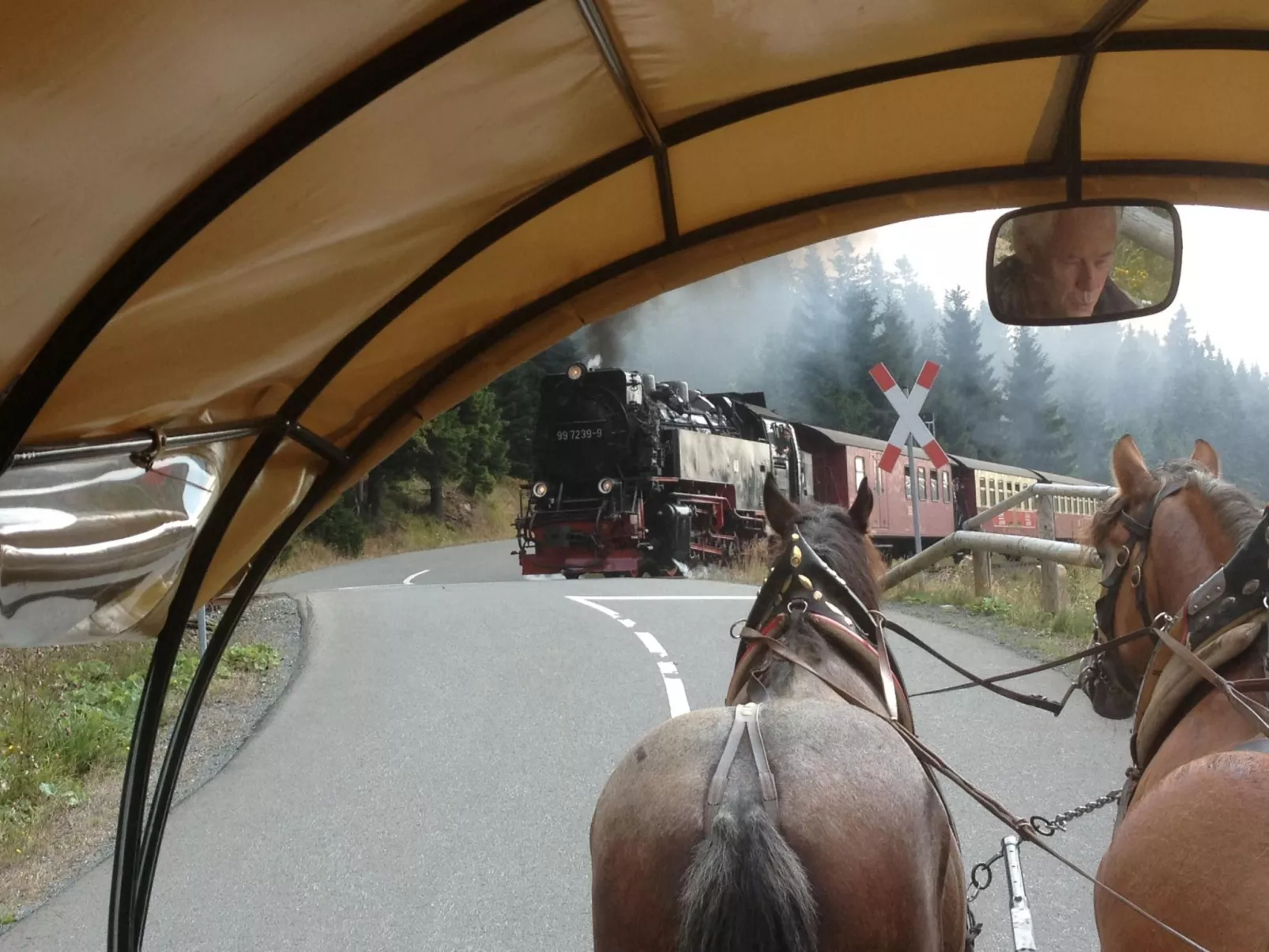 Wohnung in Bad Harzburg mit Garten-Outside