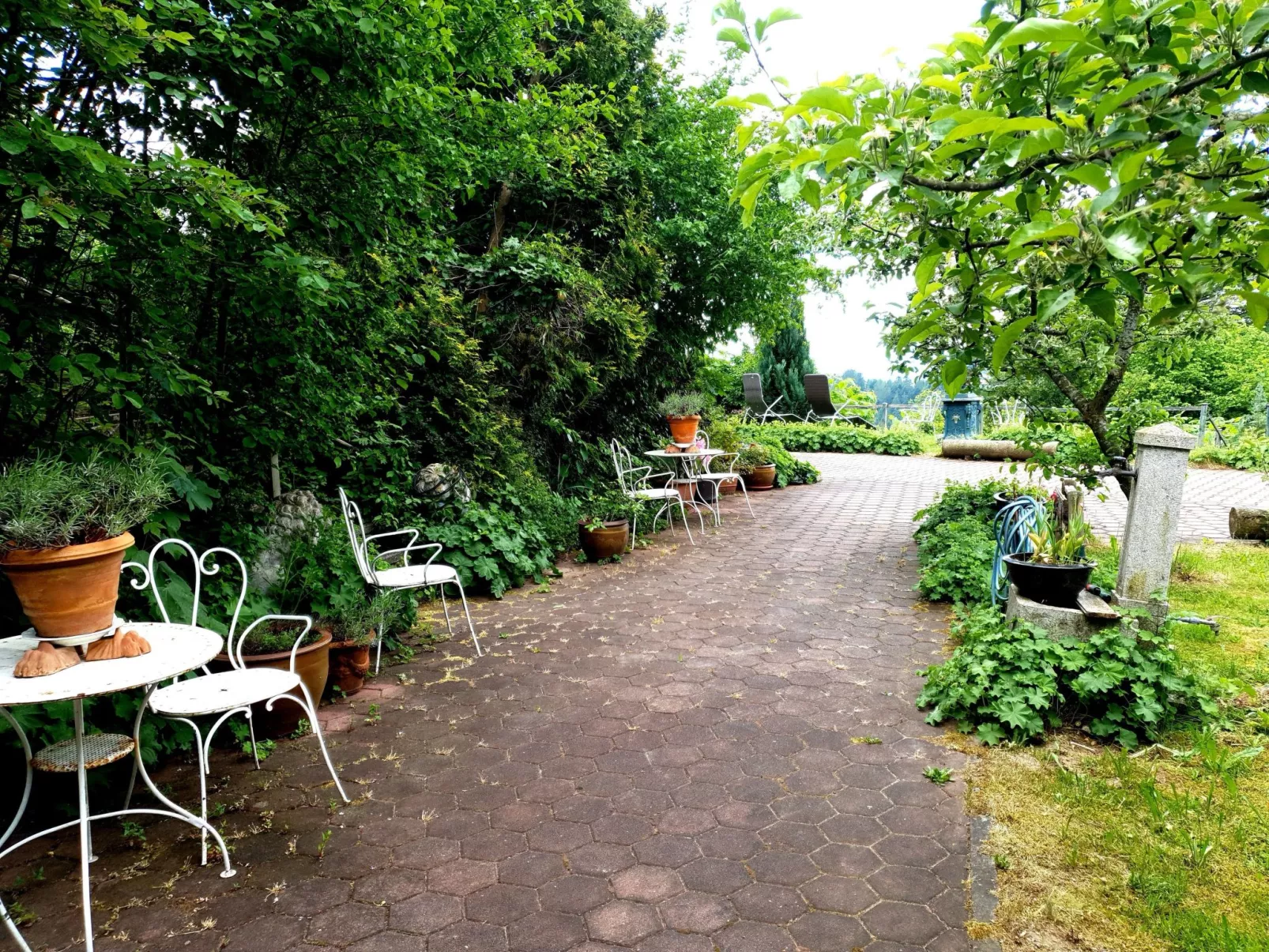 In Glashütt mit Finnischer Sauna-Outside