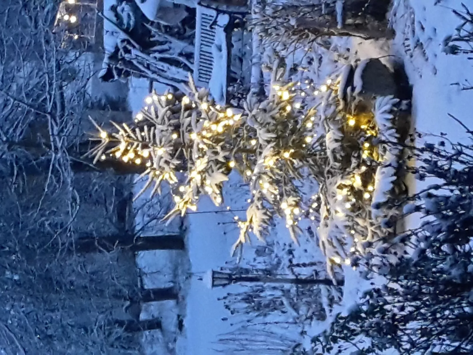 Seitz 2 in Bayerisch Eisenstein-Draußen