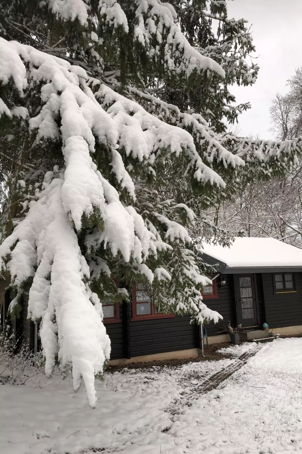 Wunderschönes Ferienhaus am Waldrand-Image-tags.info