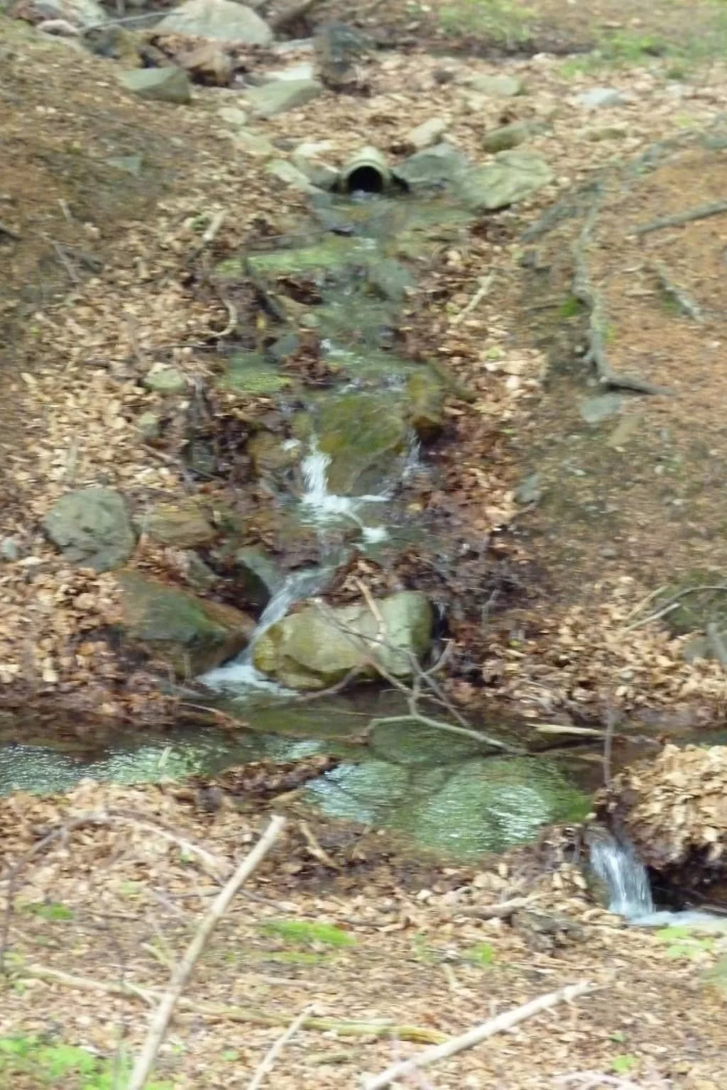 Gemütliches Appartement in Ottenhai mit Grill-Dehors