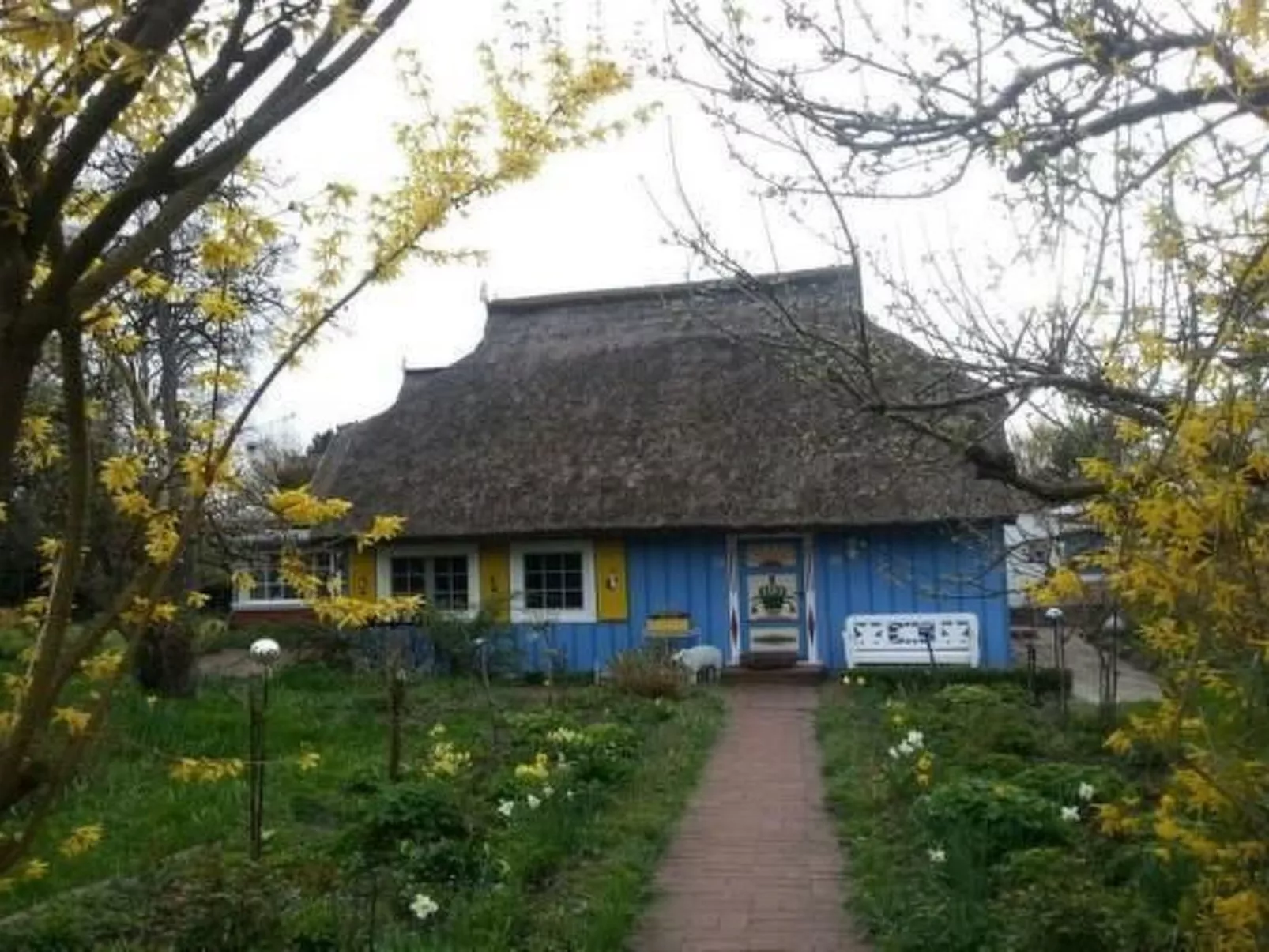 Familiäres, charmantes Appartement in Zingst-Image-tags.info