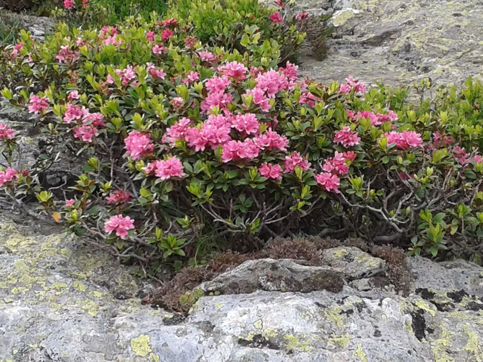 Freistehendes Ferienhaus in idyllischer Lage-Outside