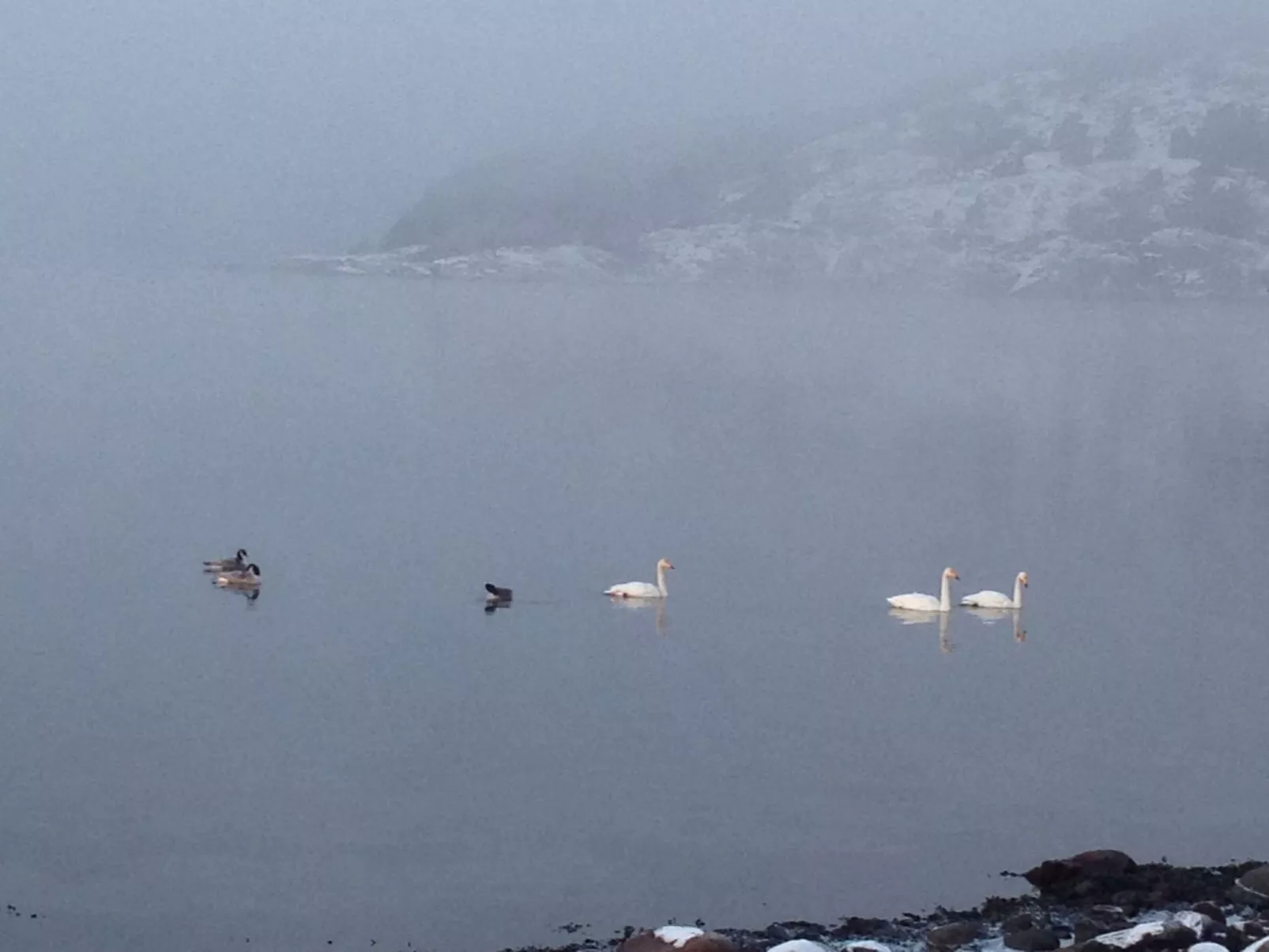Wunderschönes Haus in einer fantastischen Natur am Meer-Draußen