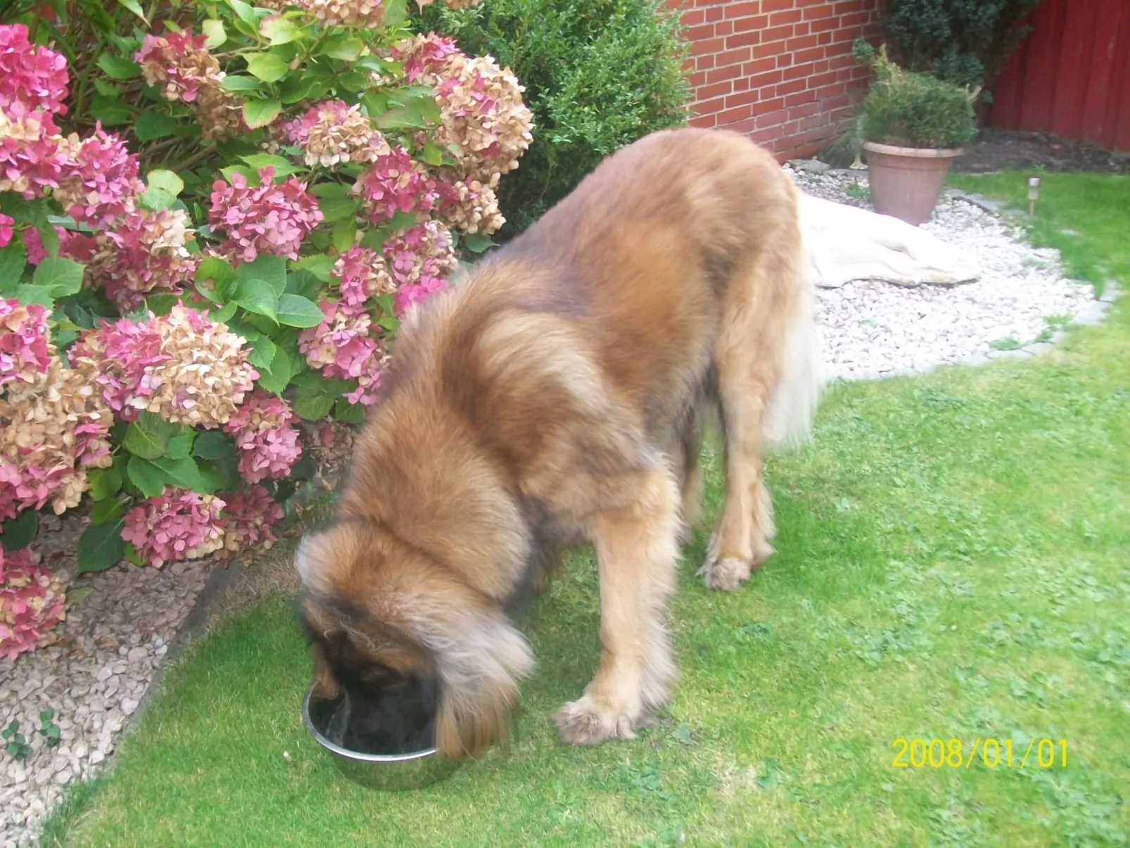 Mit umfriedetem Garten und Terrassen-Draußen