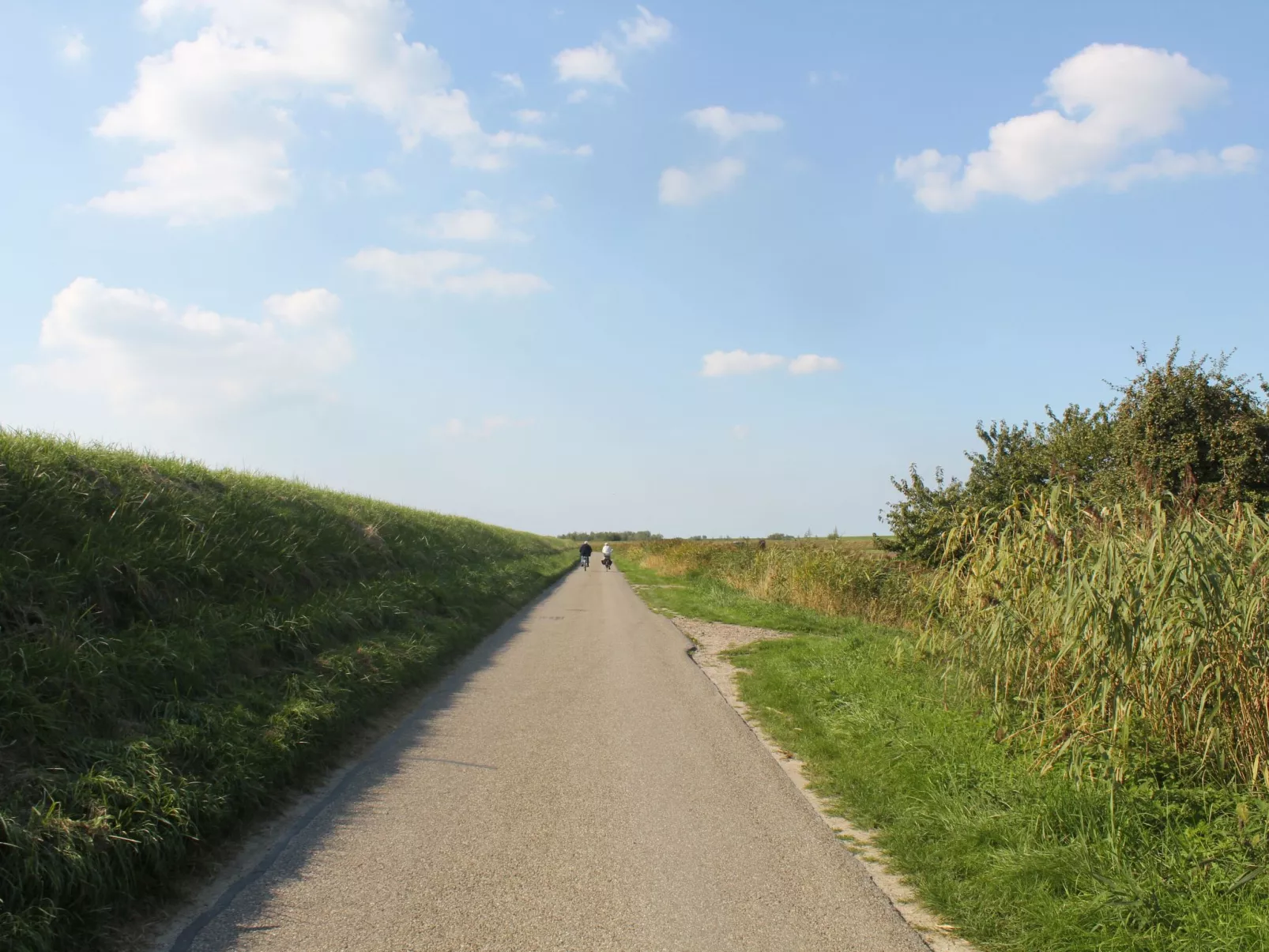 Luxus-Ferienhaus mit Sauna und Kamin-Draußen
