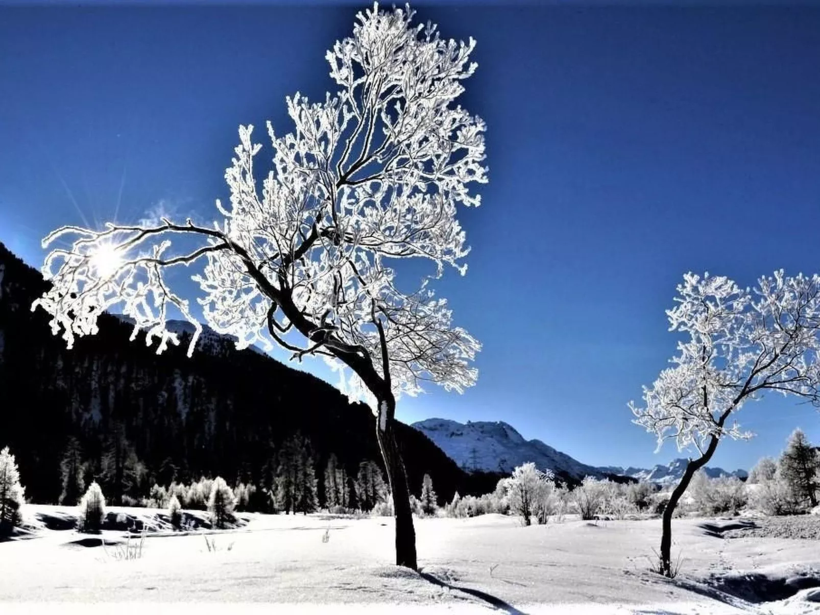 Chesa Arnica A1-Outside