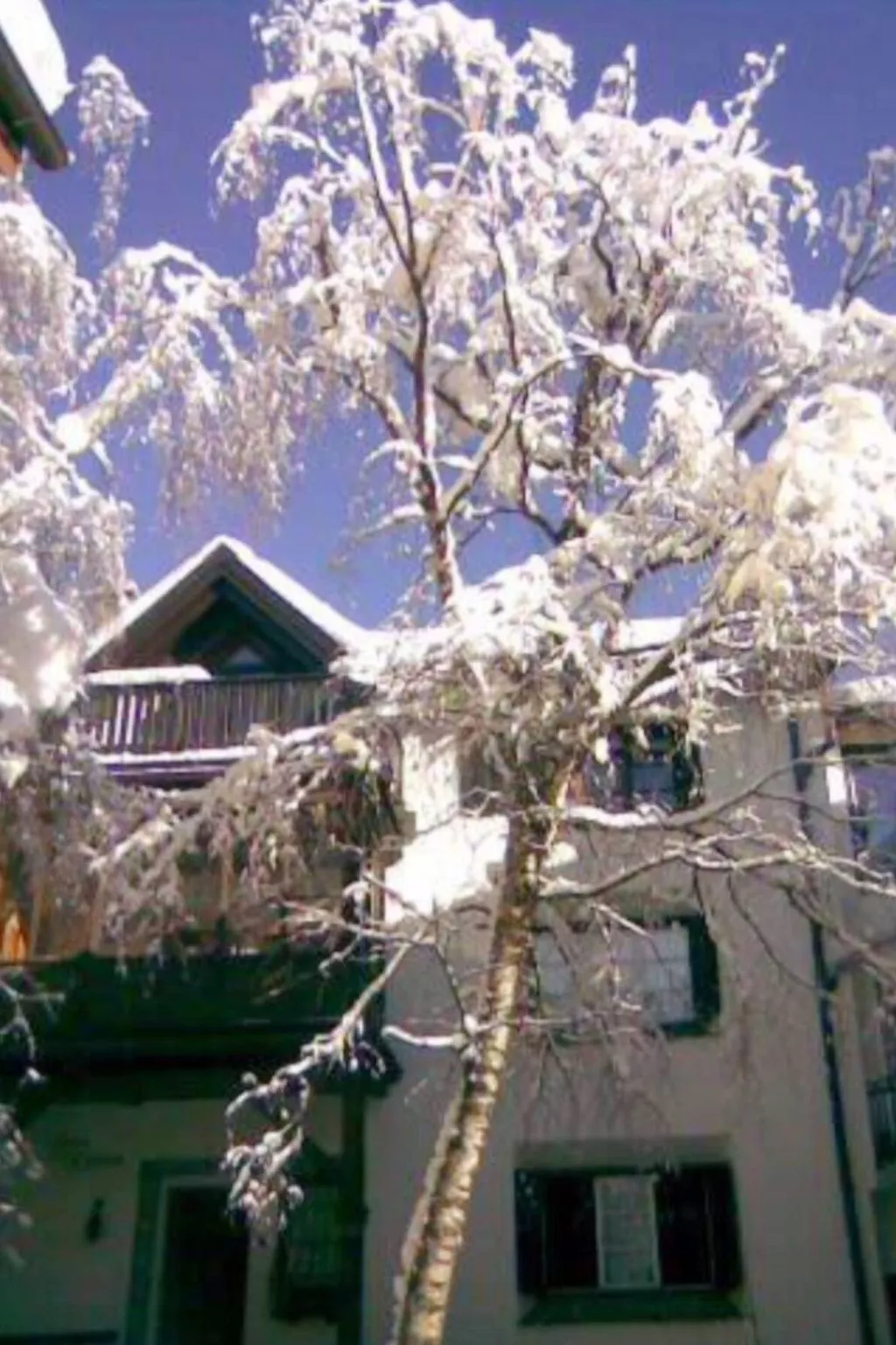 Chesa Maura-Image-tags.info