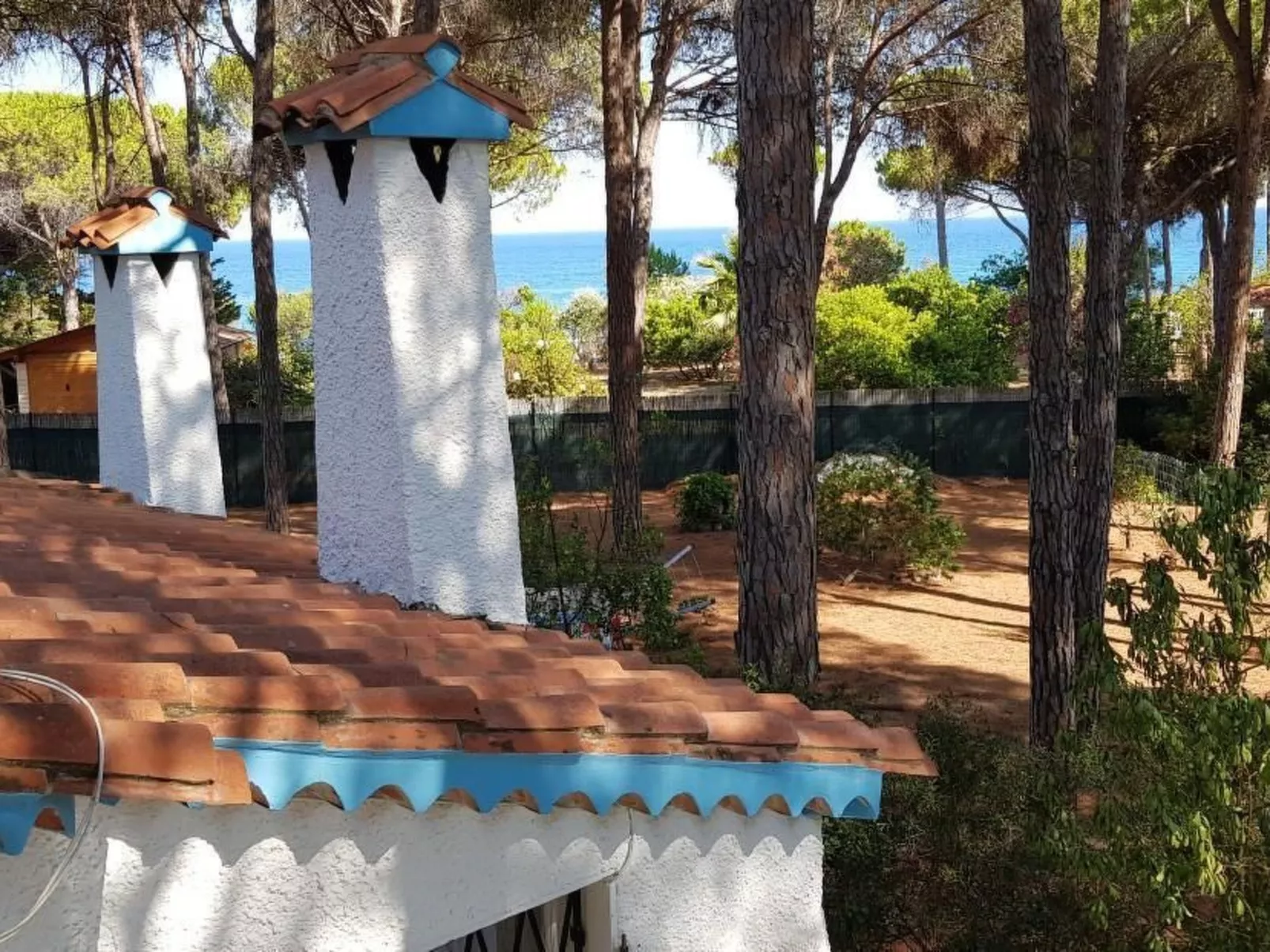 Mare e Pineta-Drinnen