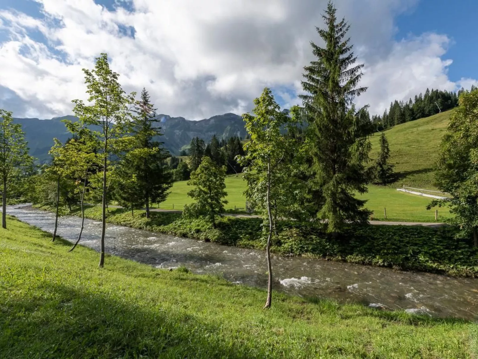 Wohnung geiger-Image-tags.info