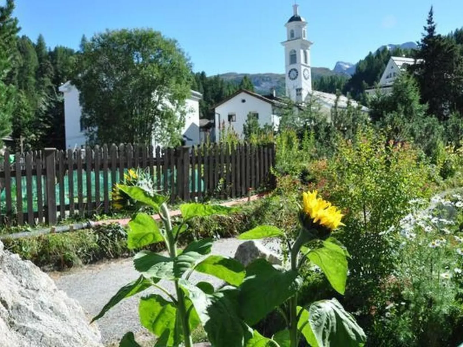 Chesa Sunasain V8-Draußen