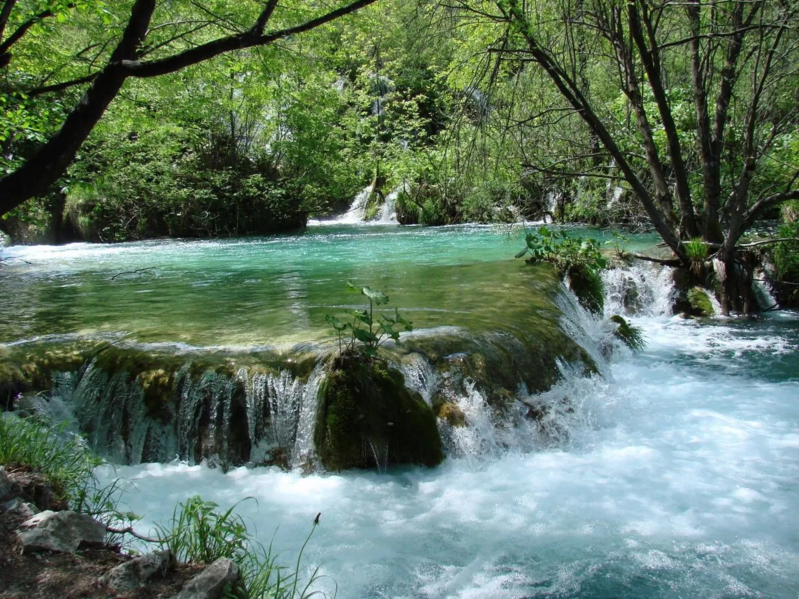 Mit Meerblick in Vinjerac-Draußen