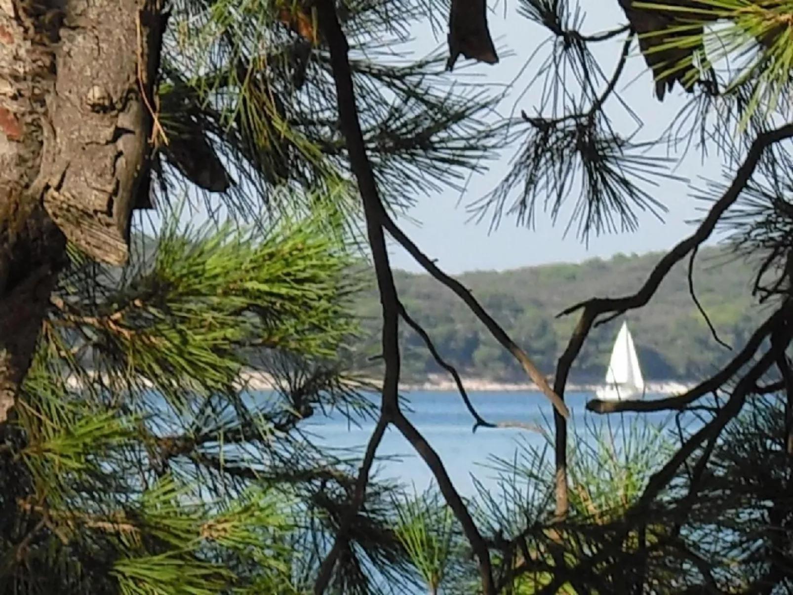 In Pula mit Grill, Terrasse und Garten-Dehors