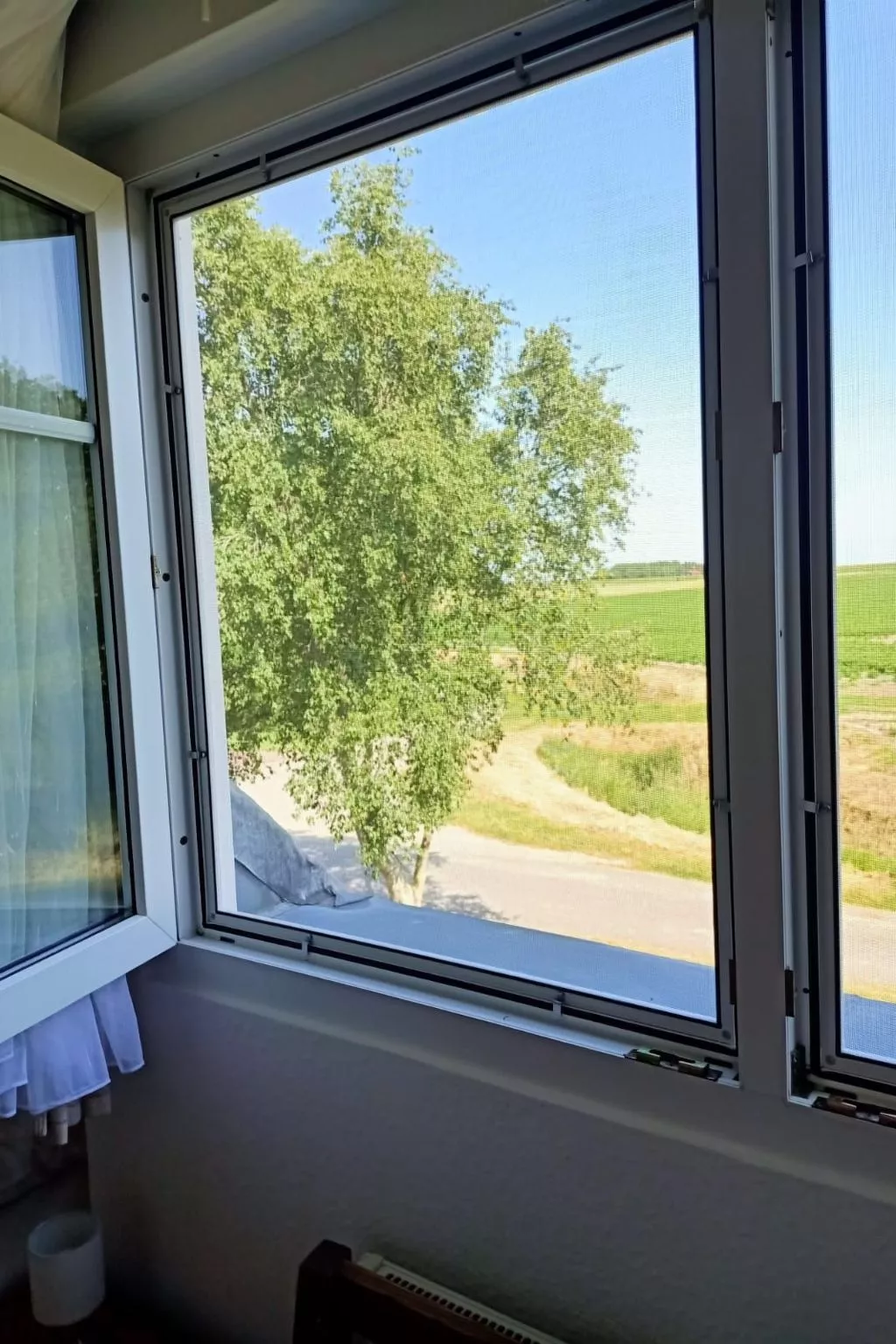  Buddecke-Image-tags.info