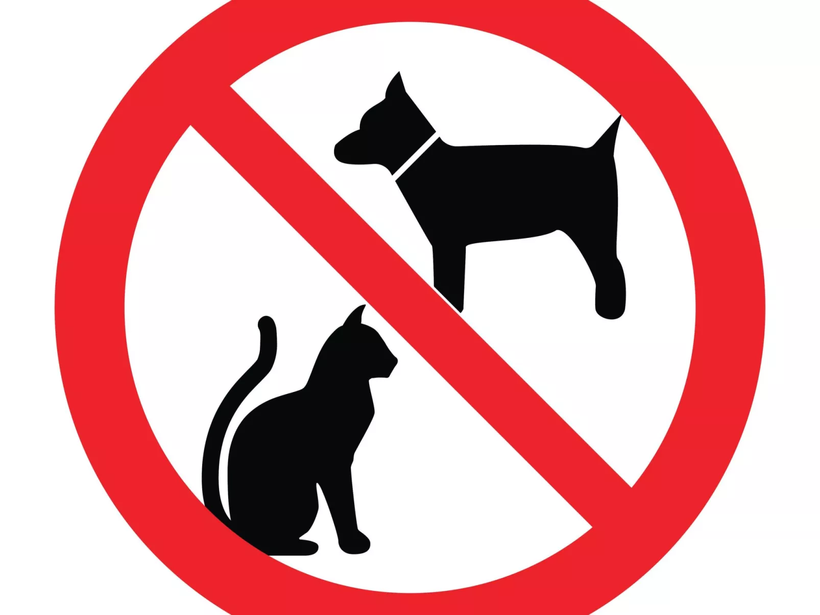 Am Meer, Urlaub auf der Insel Usedom, Apartment White Space II-Draußen