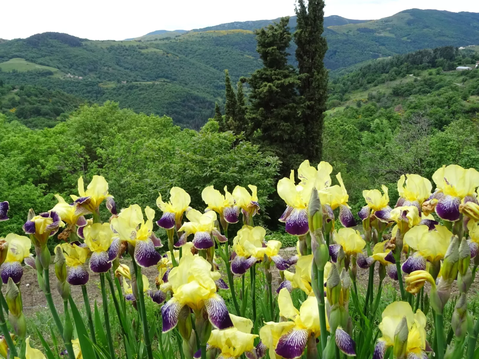 Gîte de Chapelèche Les Genêts-Outside