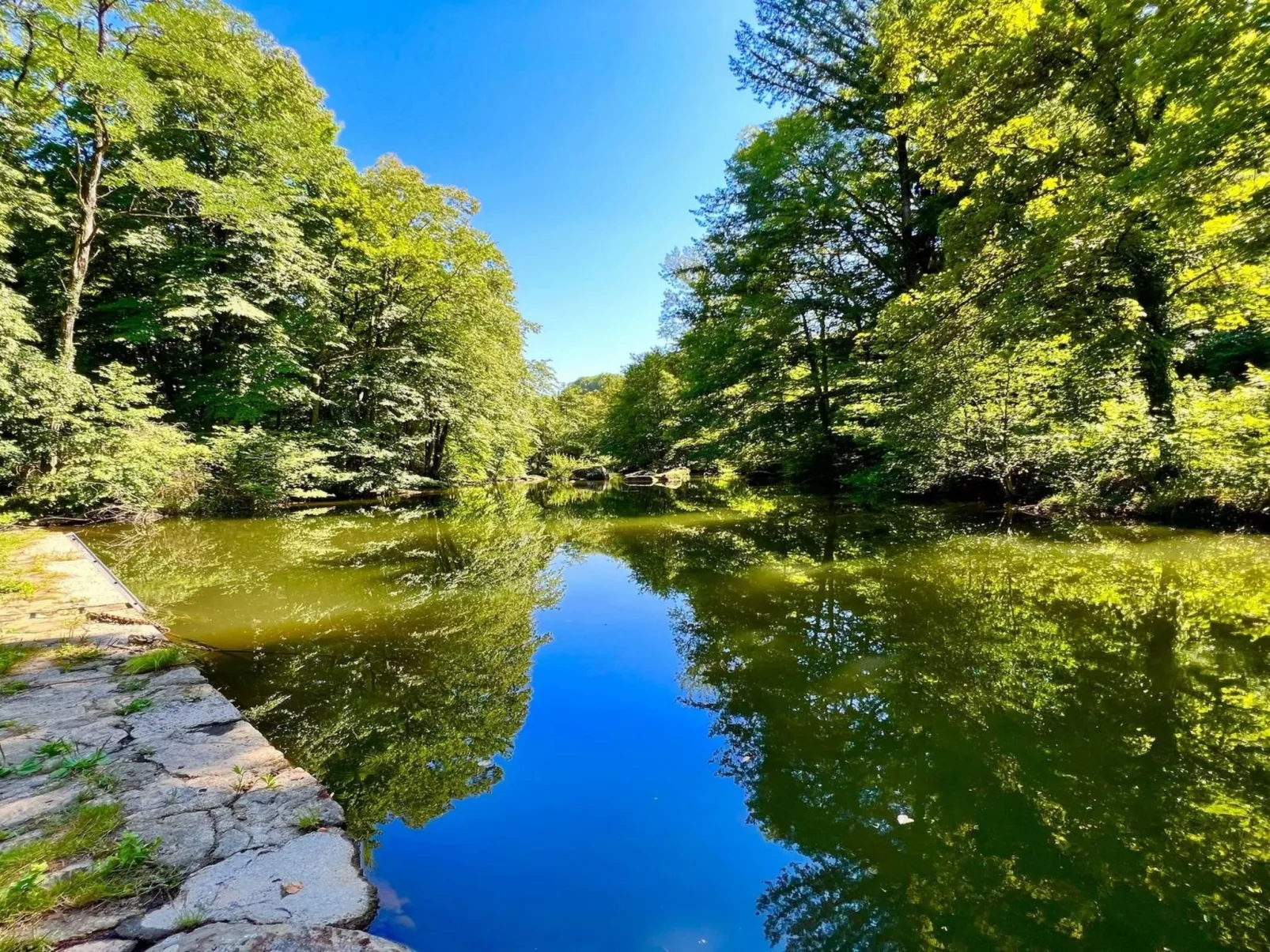 LE HAVRE SAUVAGE-Dehors