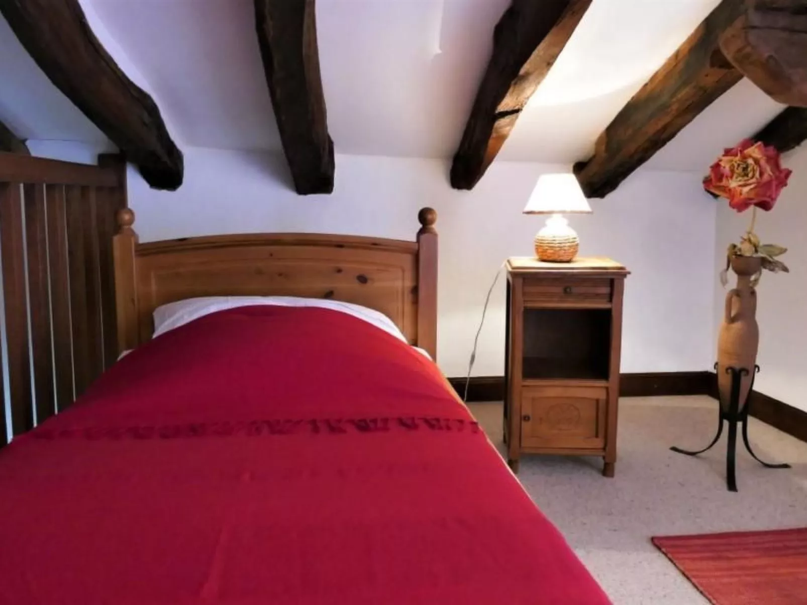 URSUYA-Image-tags.info