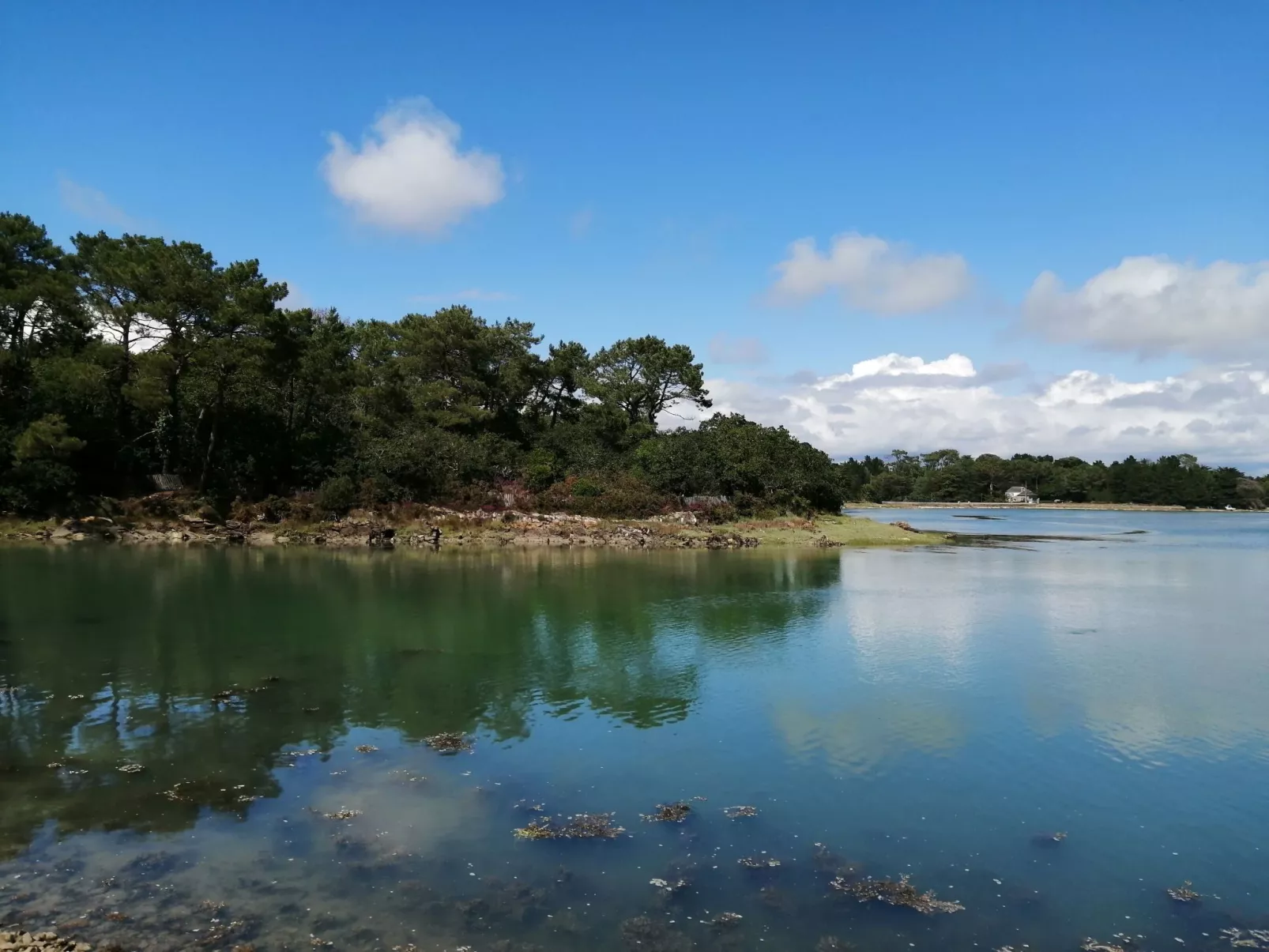 Bretagne Loctudy Haus Les Camélias 3 Personen-Outside