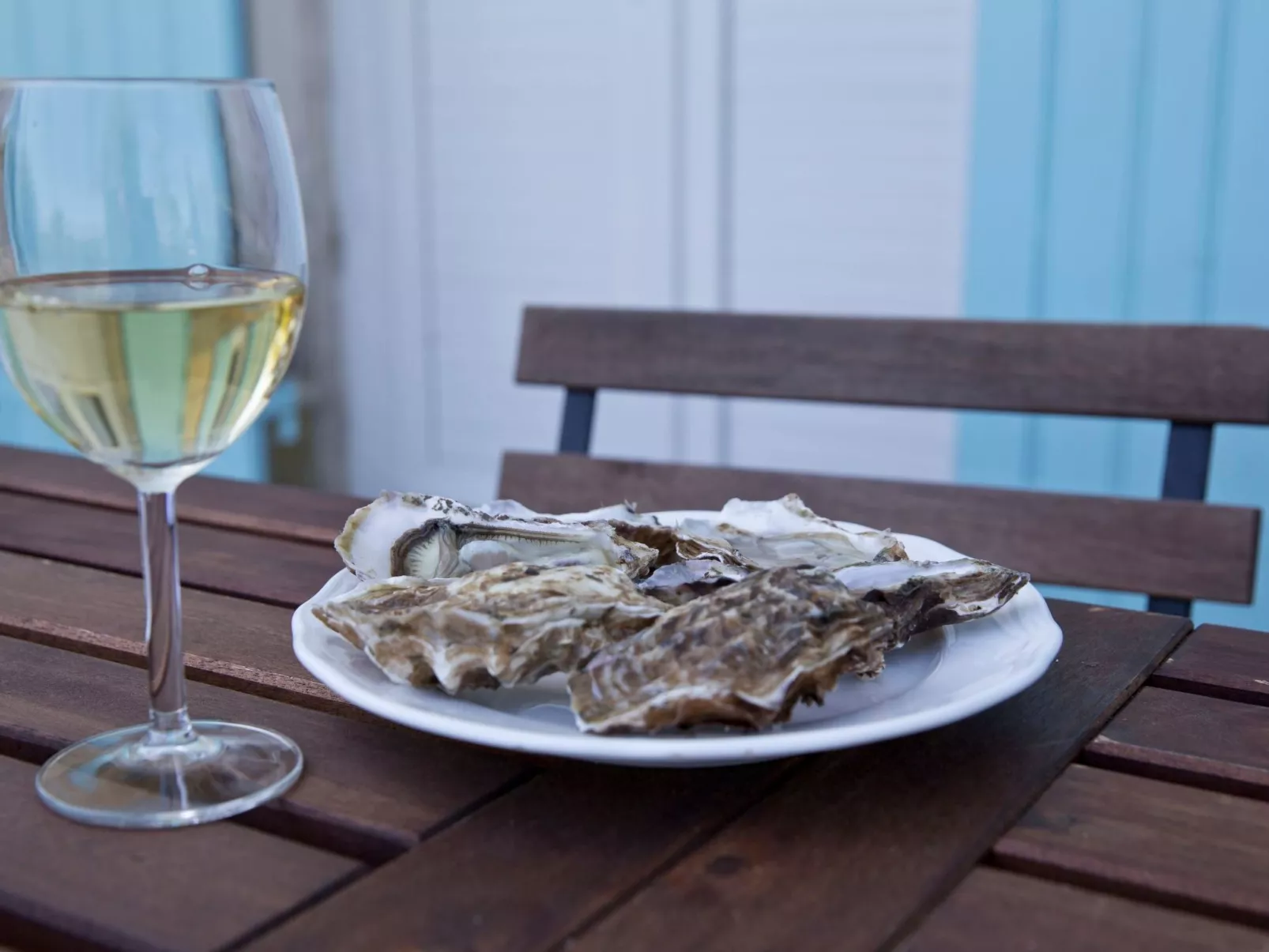 Schloss mit Überlaufpool an der Dordogne-Outside