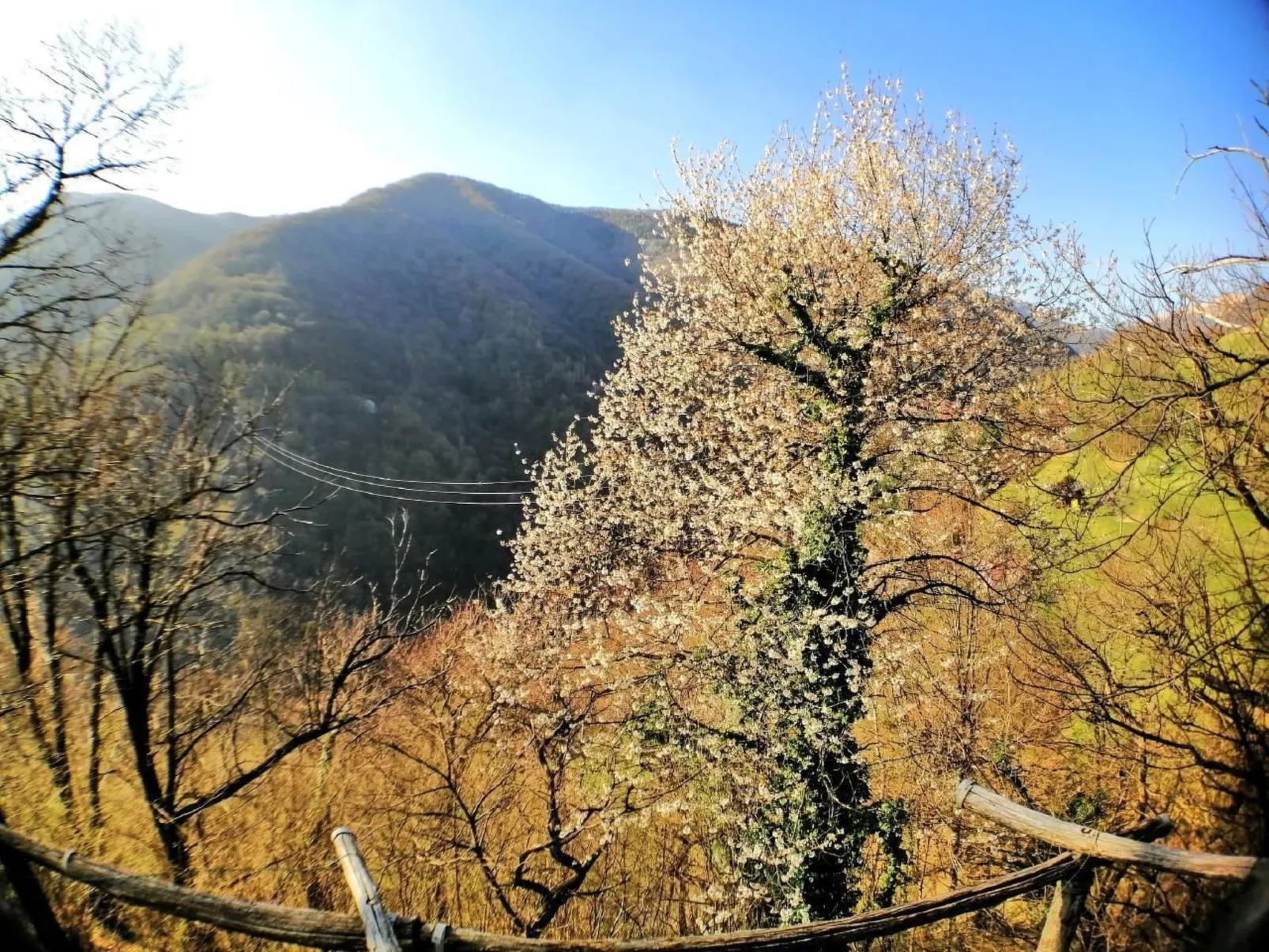 Mit Bergblick-Draußen