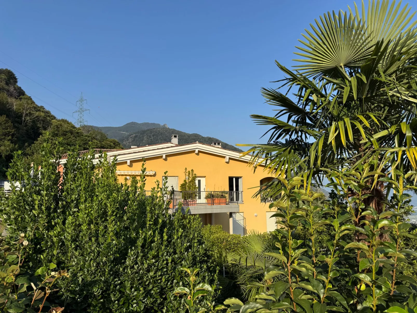 La Camelina - Contra-Draußen