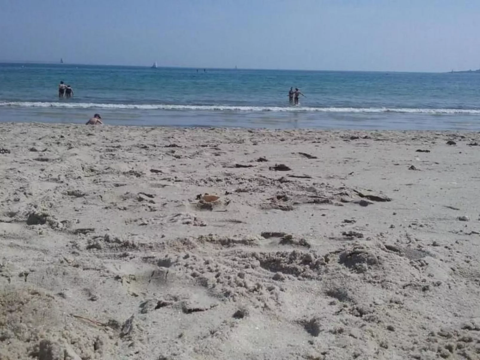 Cap Coz Cottage 500m vom Sandstrand entfernt-Outside