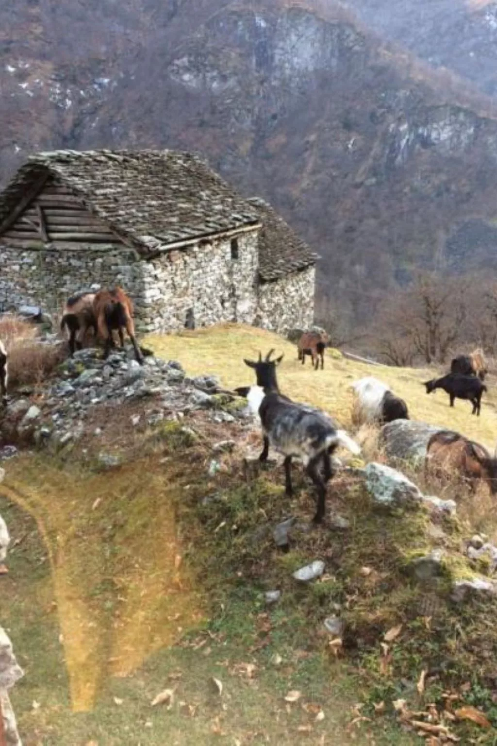 Weg von der Zuvielisation-Draußen