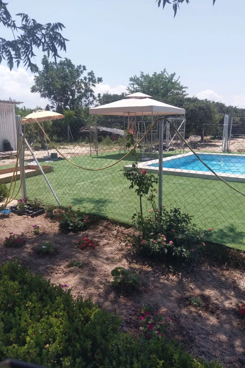 Neben Orangenbaum-Obstgarten-Outside