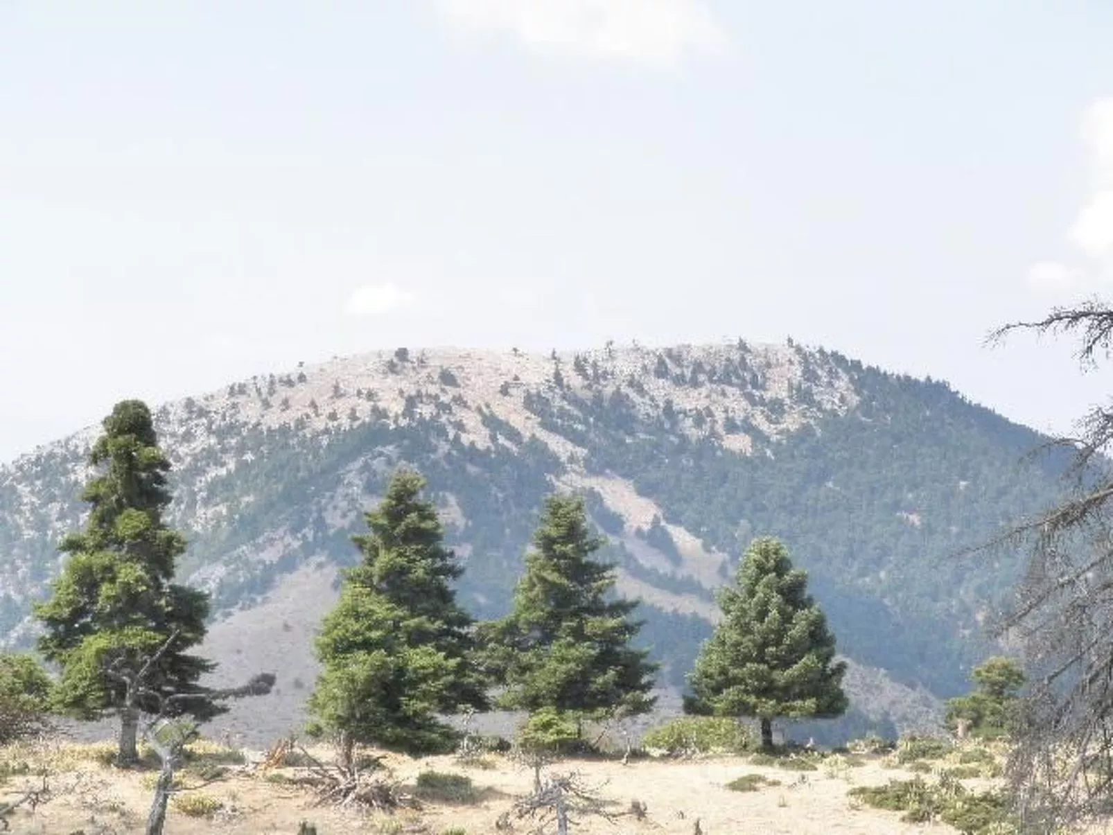 Studio mit Garten-Image-tags.info