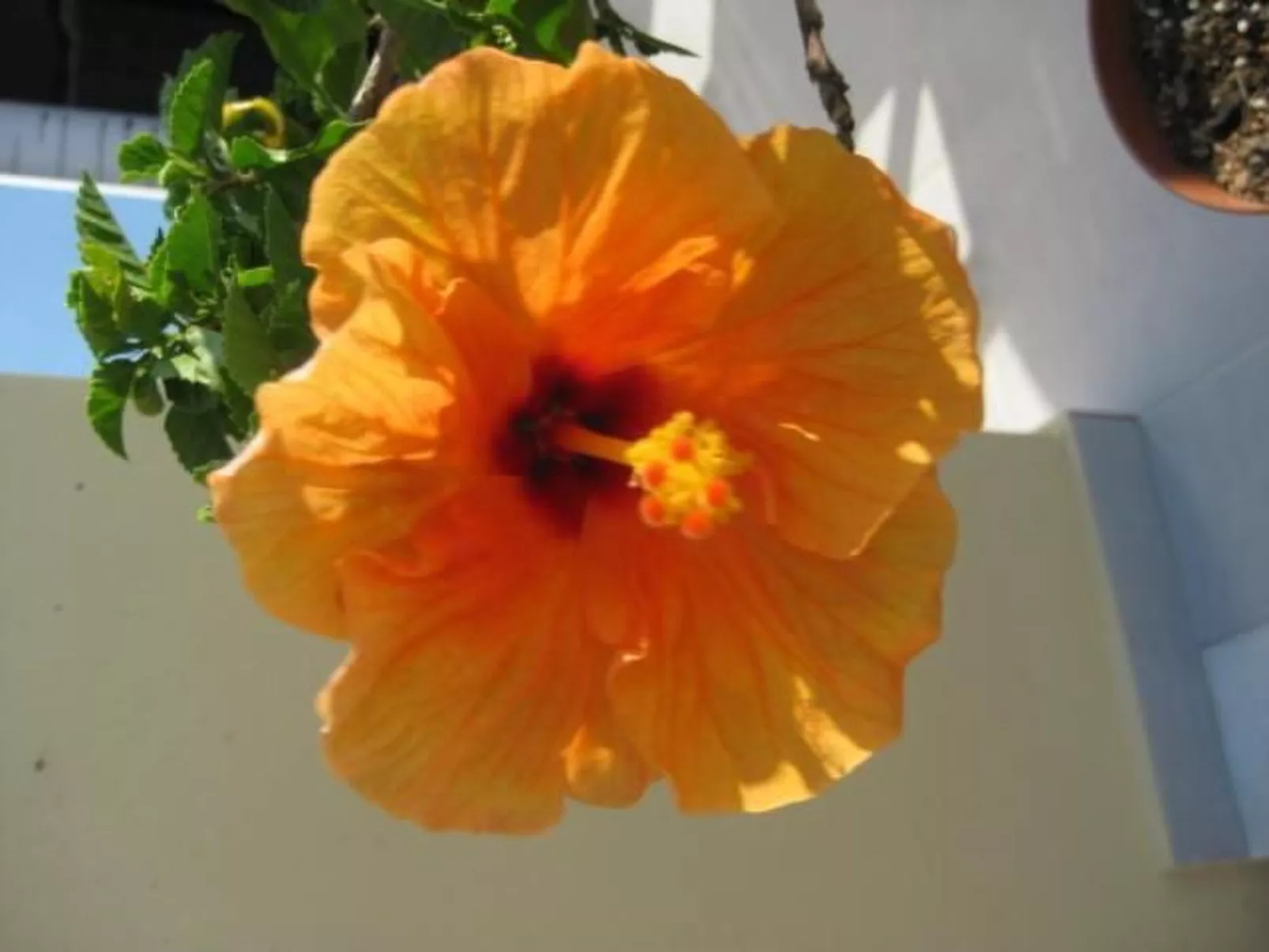 Villa Neptun-Outside