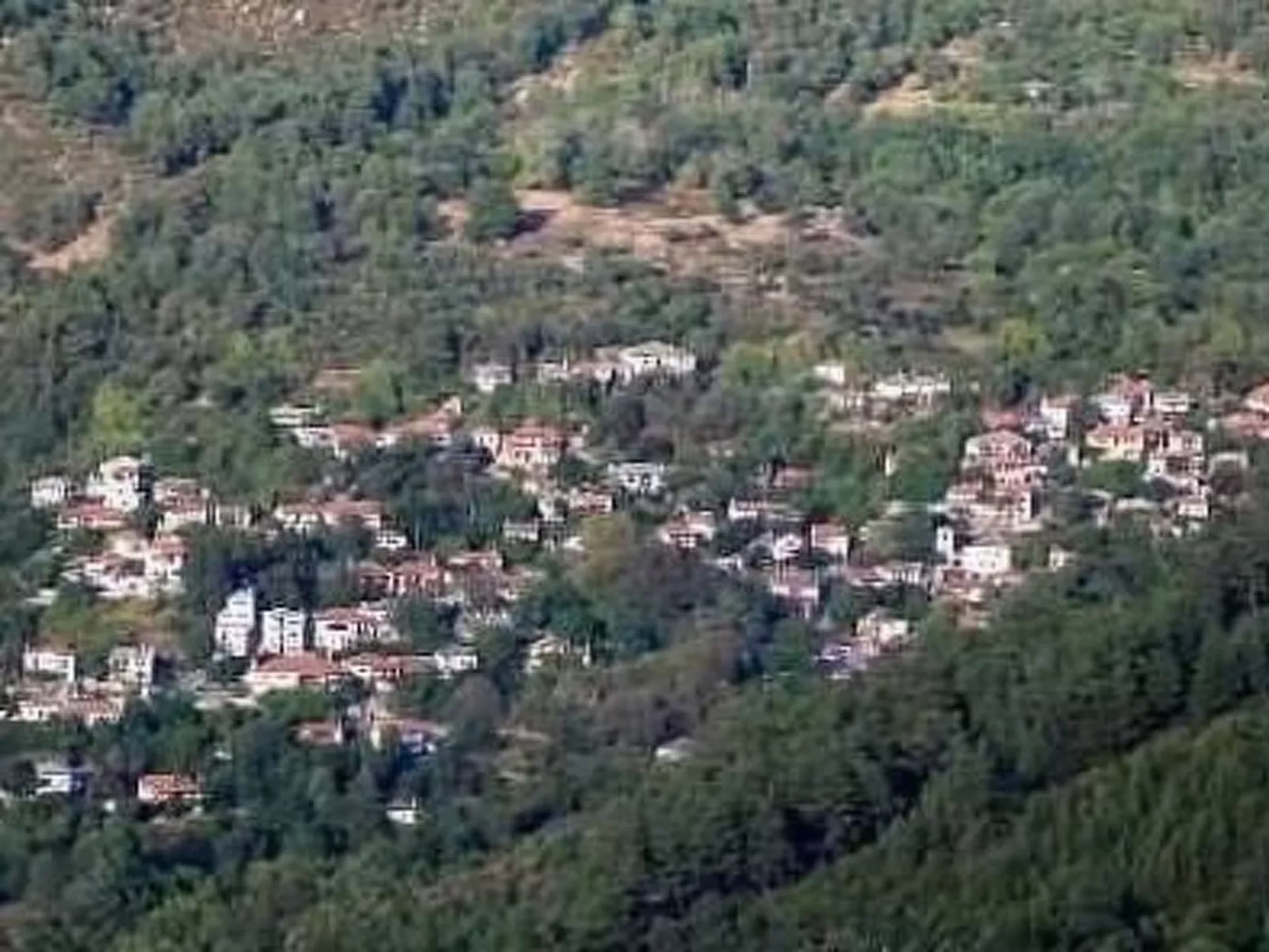 Villa Daphne-Draußen